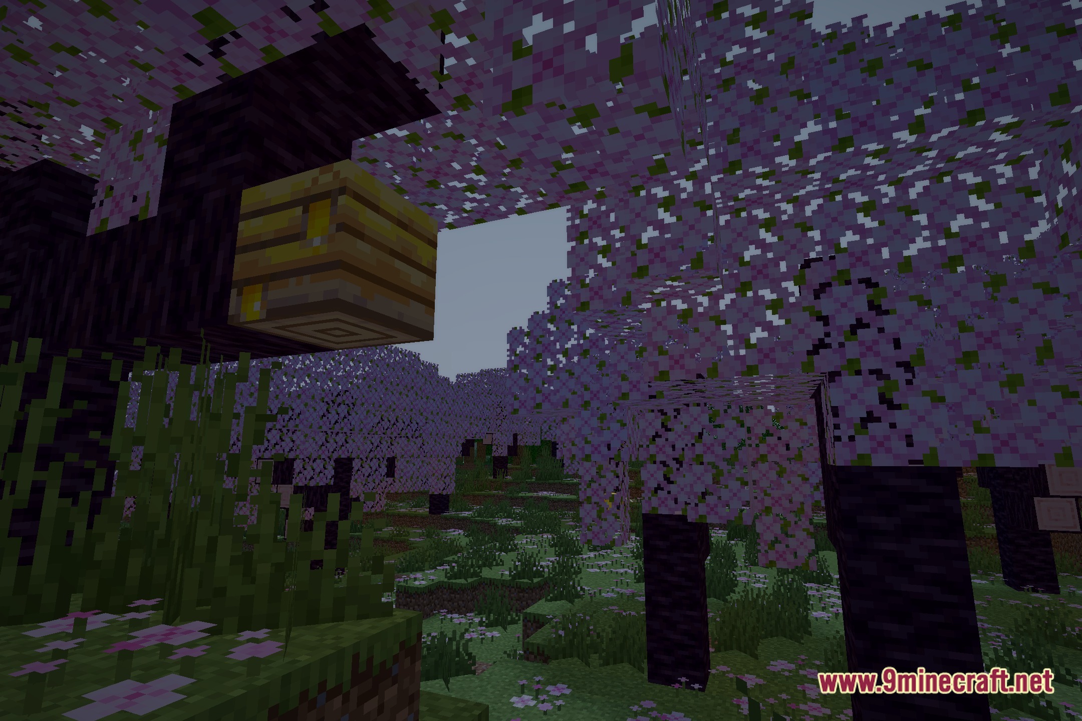 Dara Shaders Screenshot 1