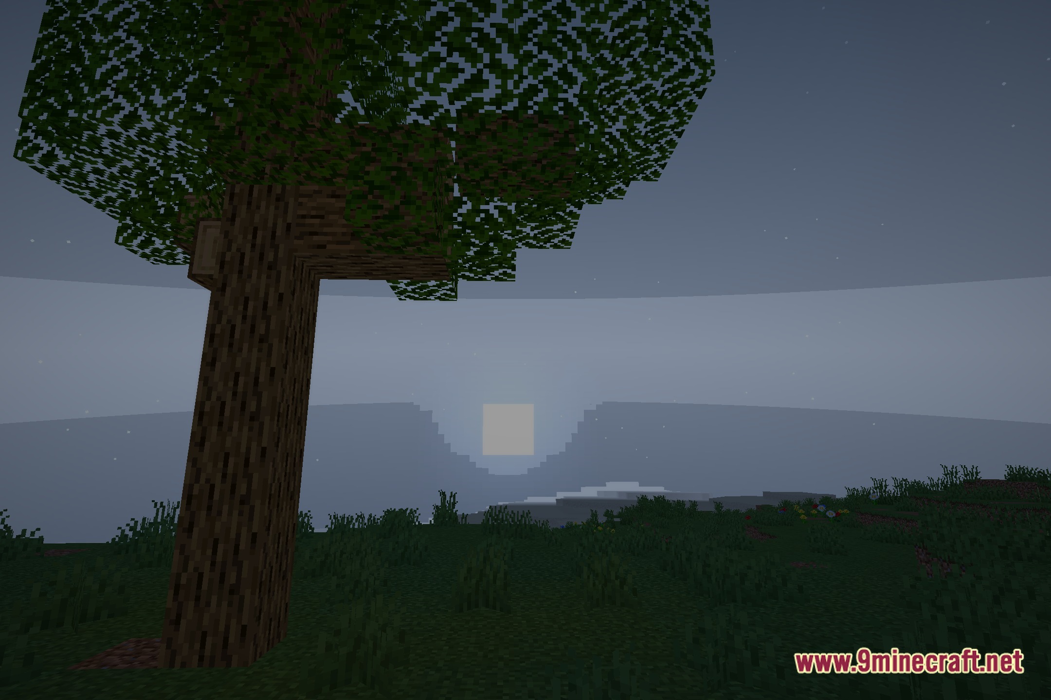 Dara Shaders Screenshot 3