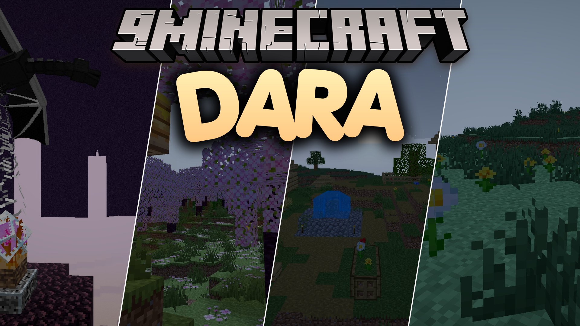 Dara Shaders