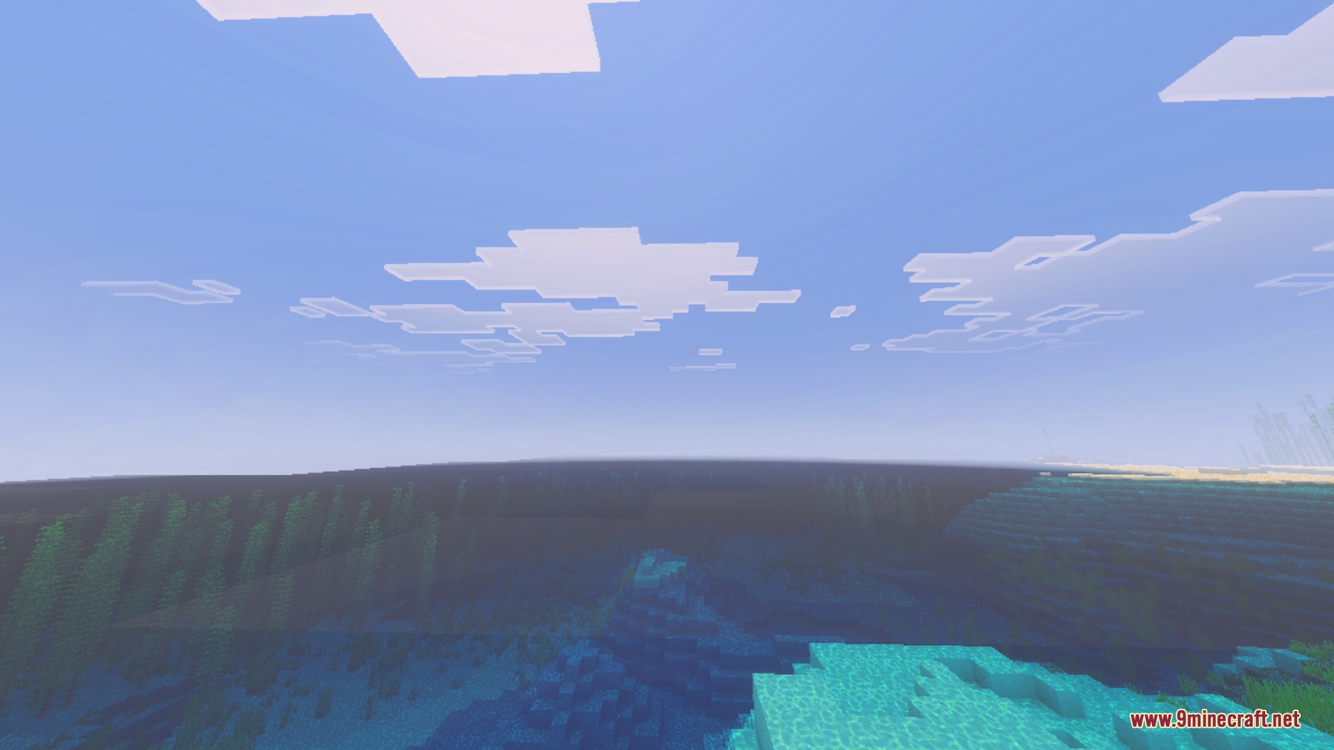 Clear underwater view of kelp and coral reefs under a bright sky