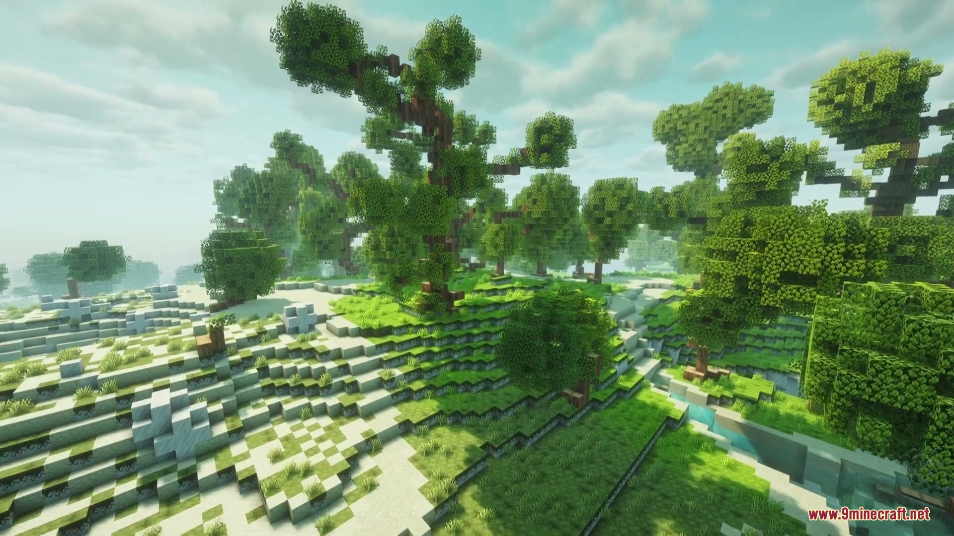 Sunlight shines over a lush Mediterranean forest with custom regional trees