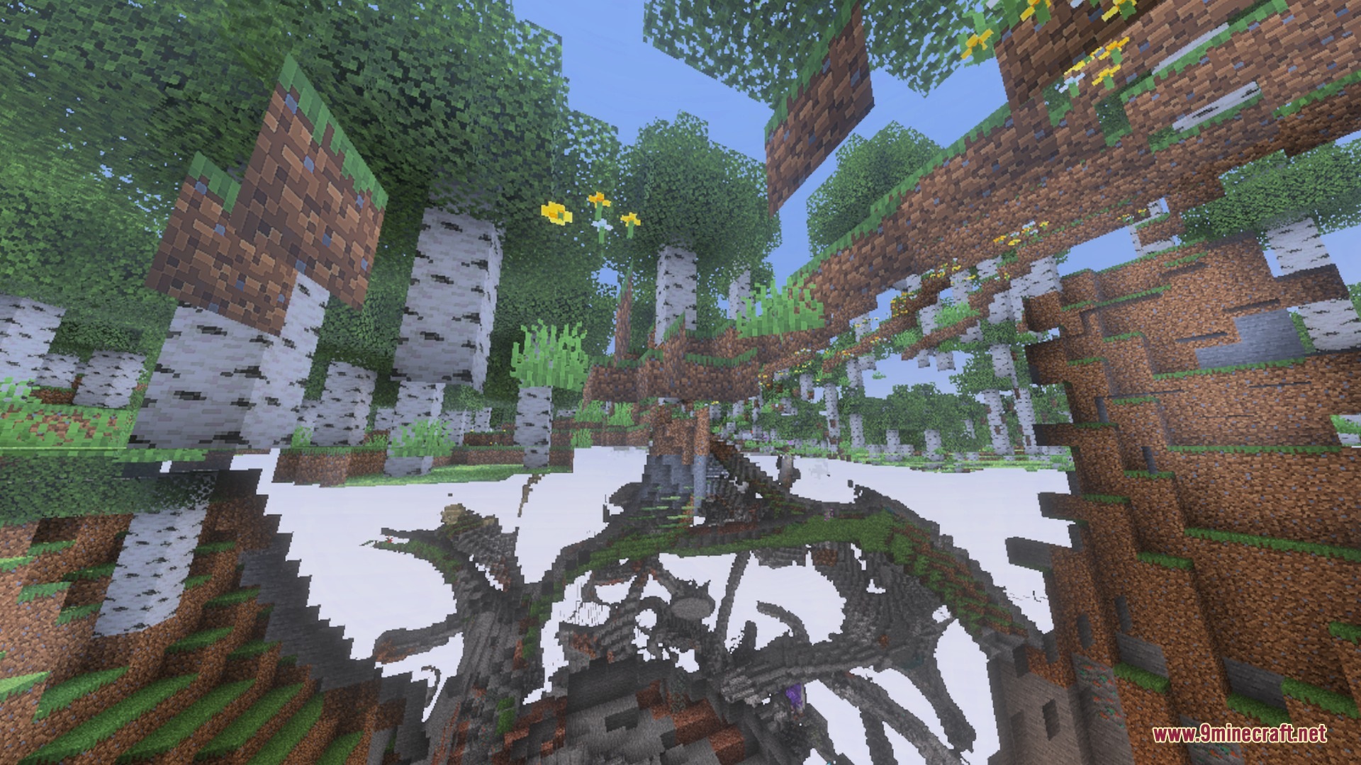 A transparent view of a birch forest revealing underground caves and floating blocks
