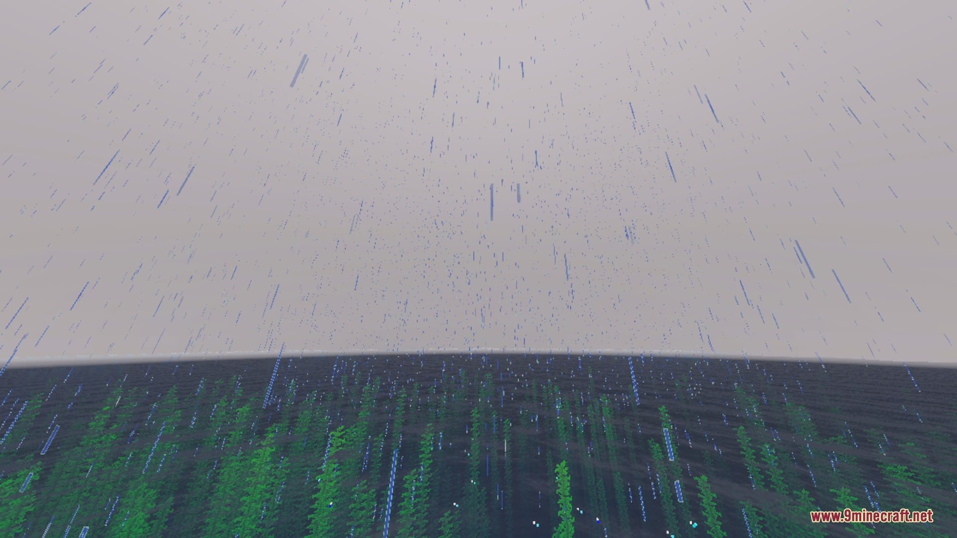Rainy weather over a dark ocean with visible underwater kelp plants