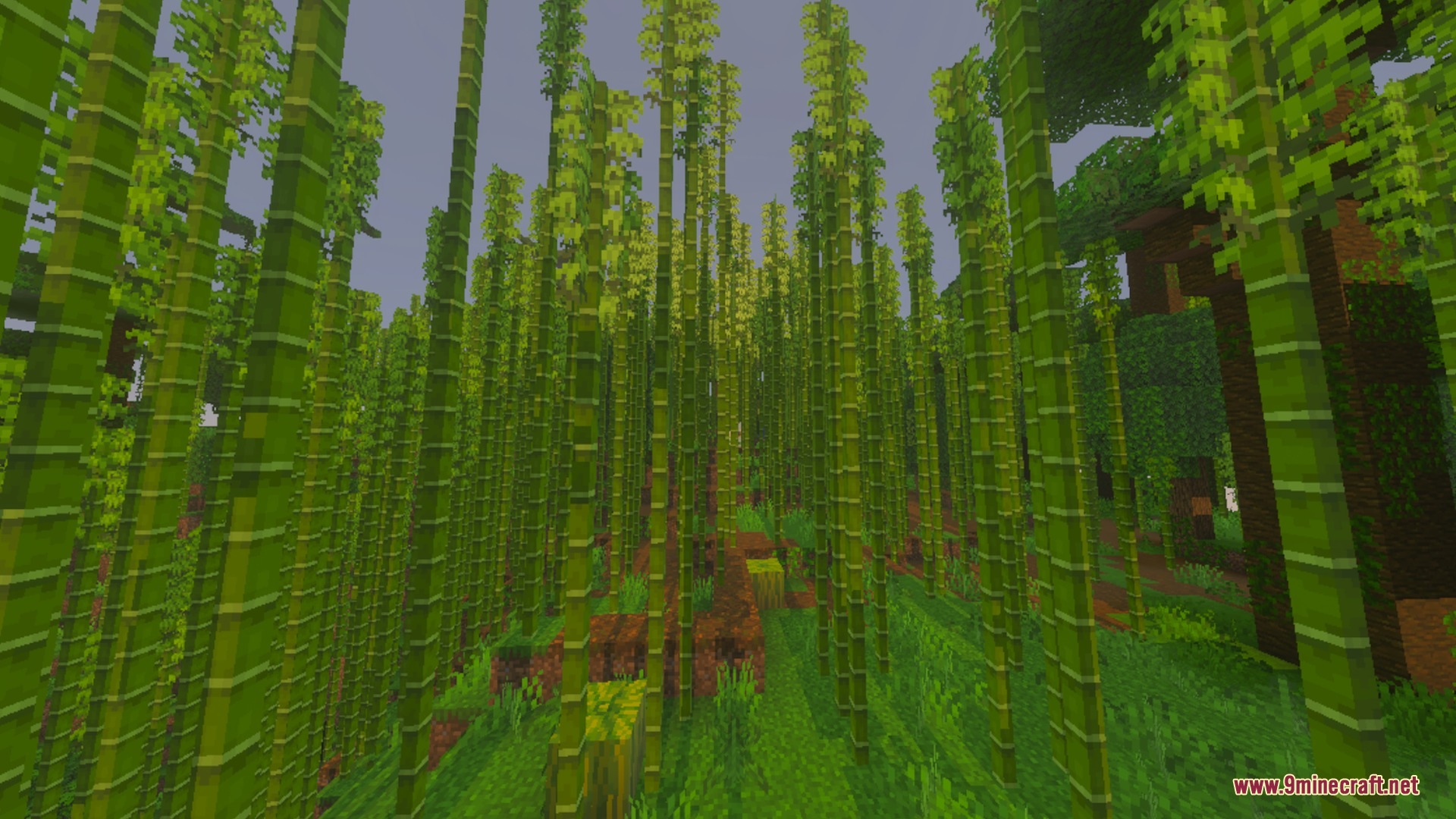 Dynamic Sea Water by Ei Shader Screenshot 9