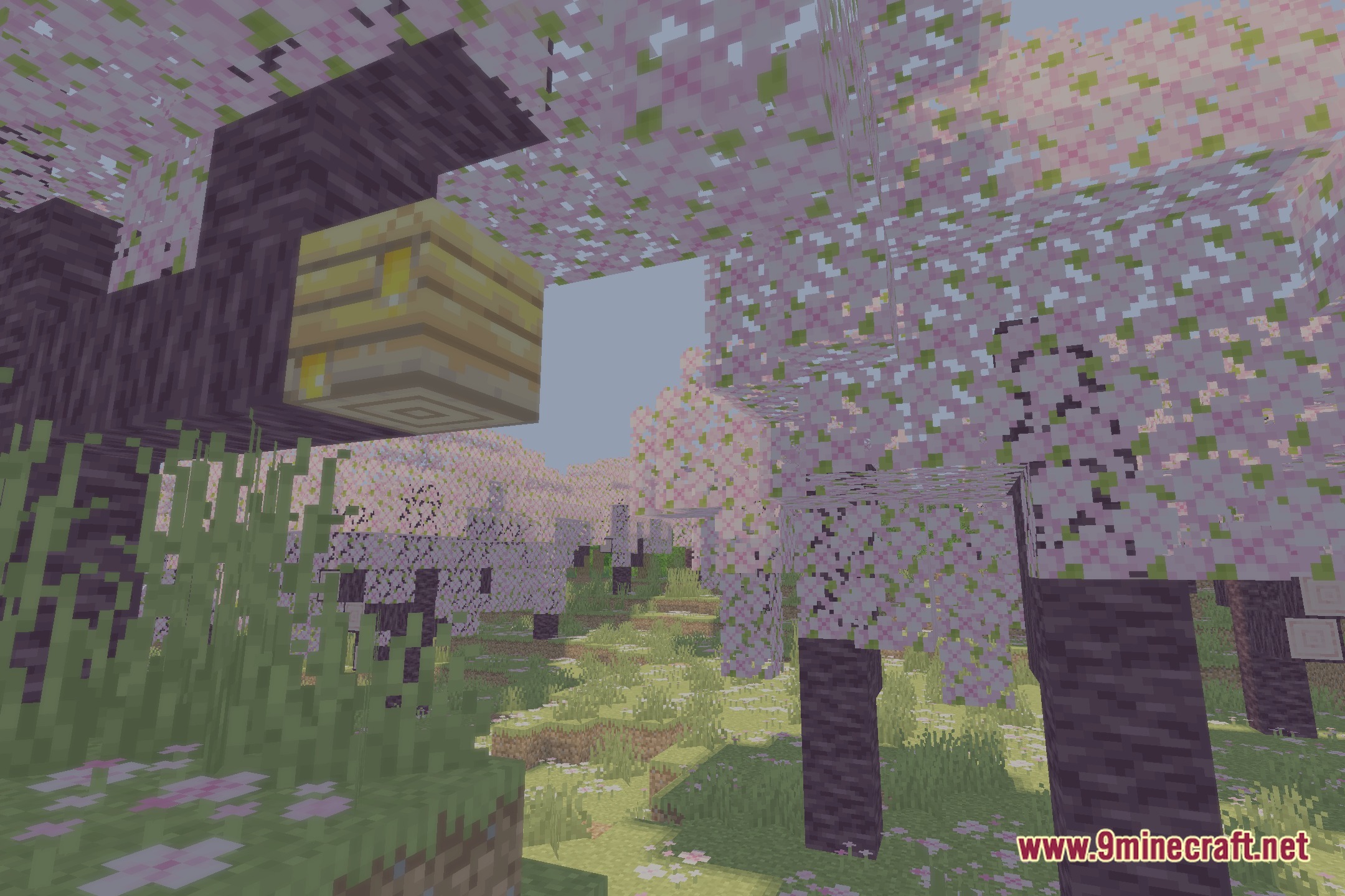 EV Enhanced Visuals Shaders Screenshot 1