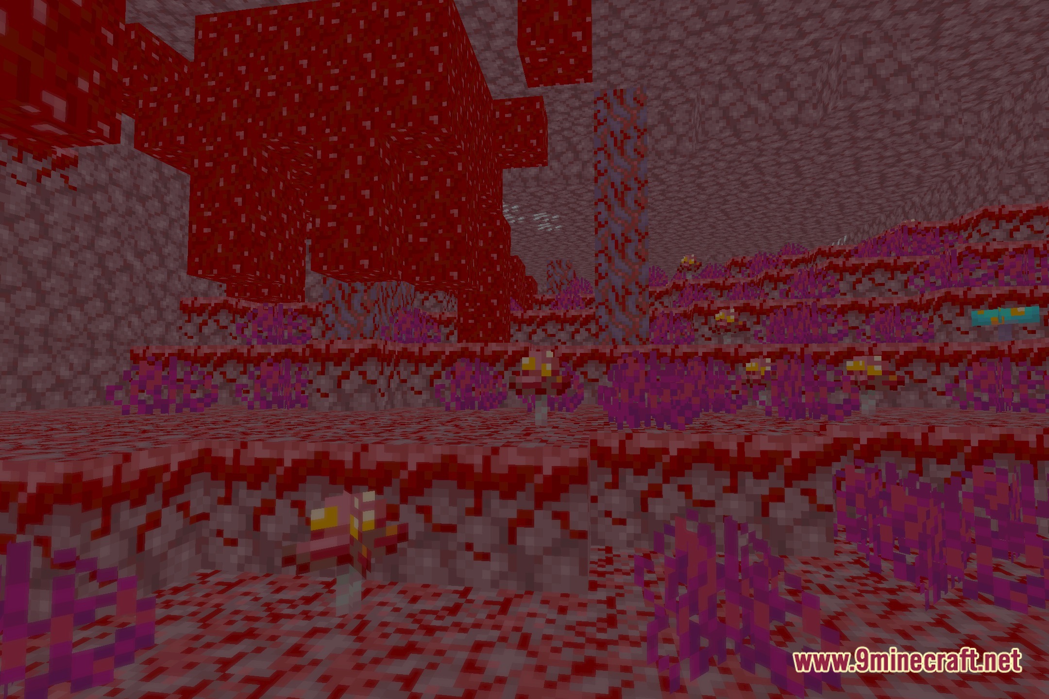 EV Enhanced Visuals Shaders Screenshot 10