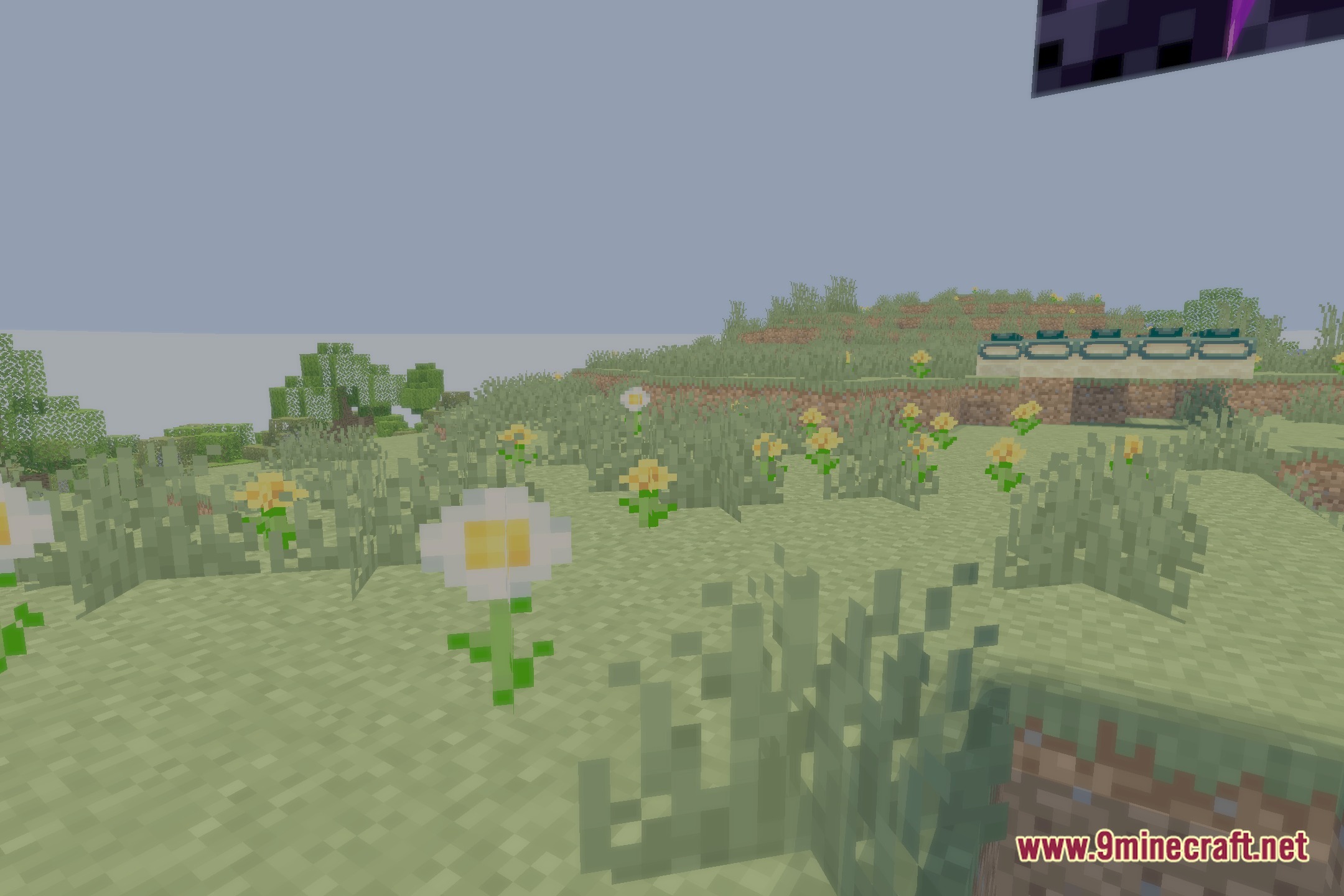 EV Enhanced Visuals Shaders Screenshot 3