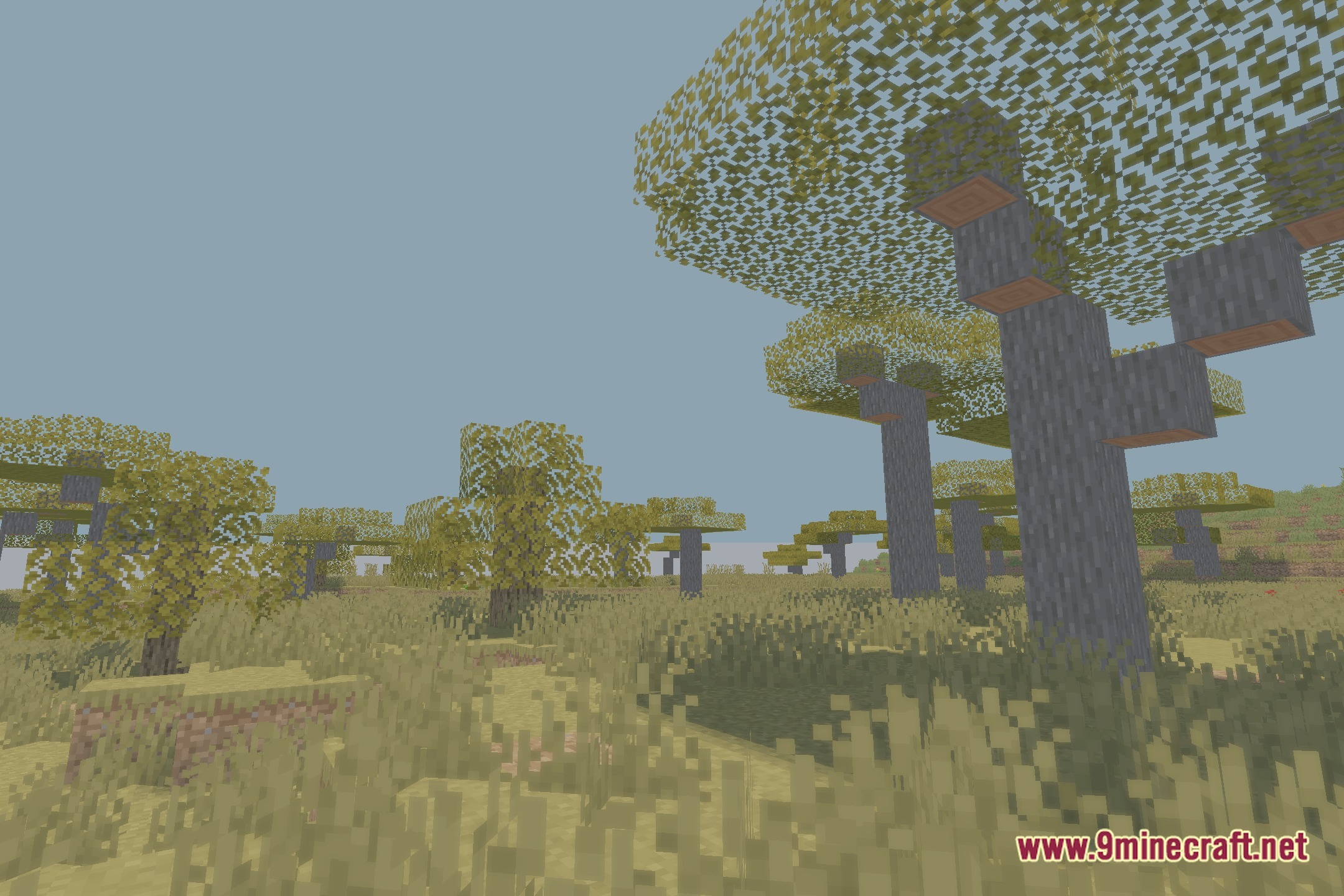 EV Enhanced Visuals Shaders Screenshot 8