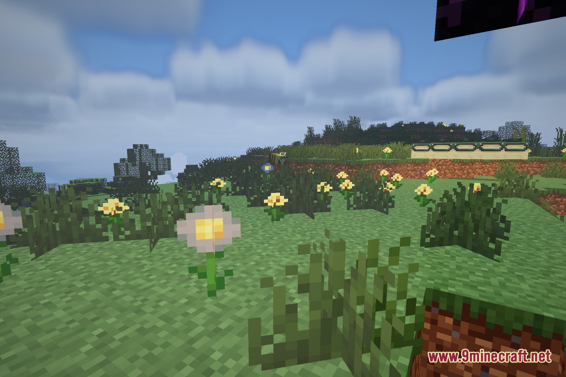 Earthshade Shaders Screenshot 4