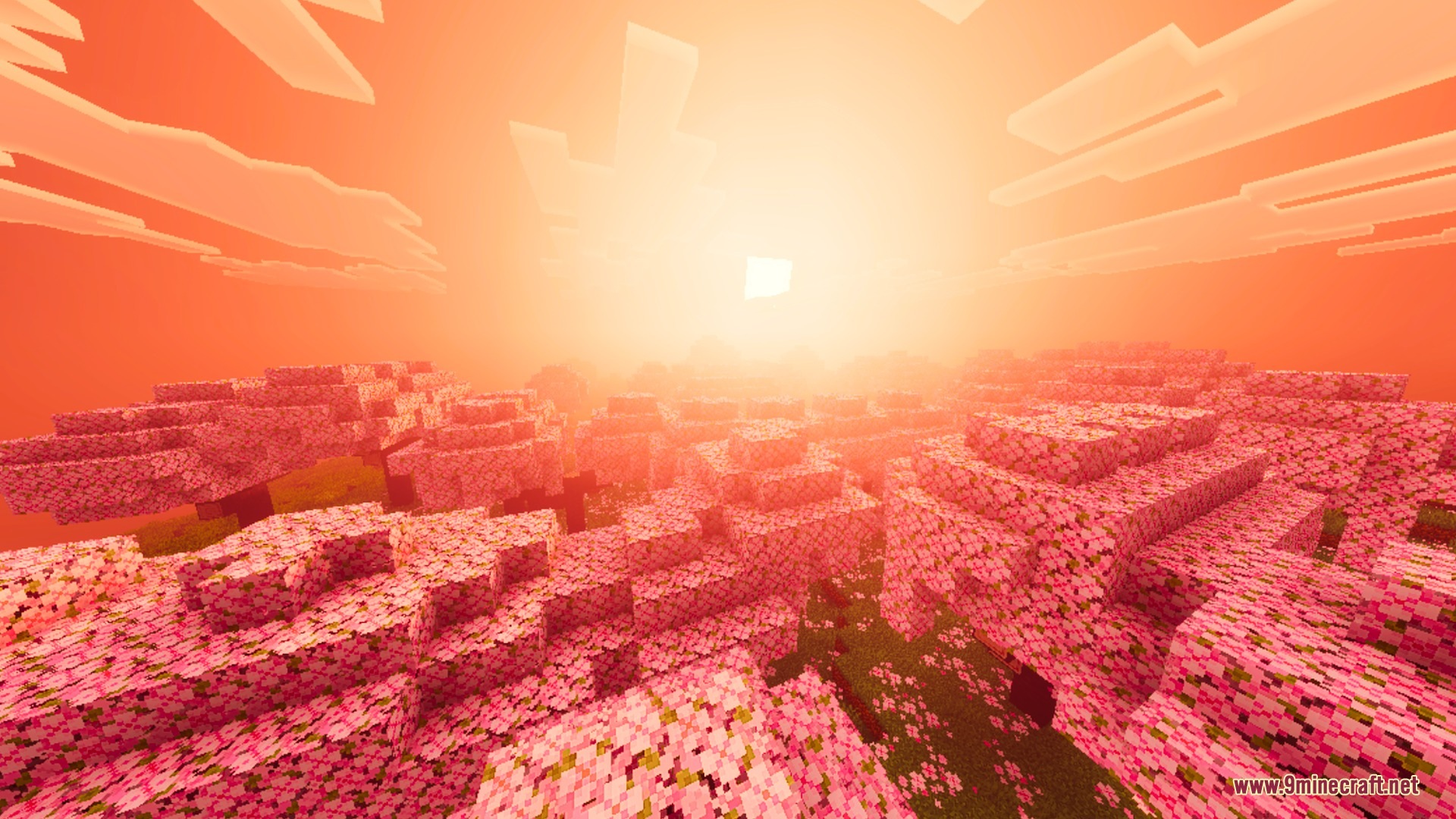 Fiery cherry blossom grove glowing with intense orange light from a blazing sunset sky