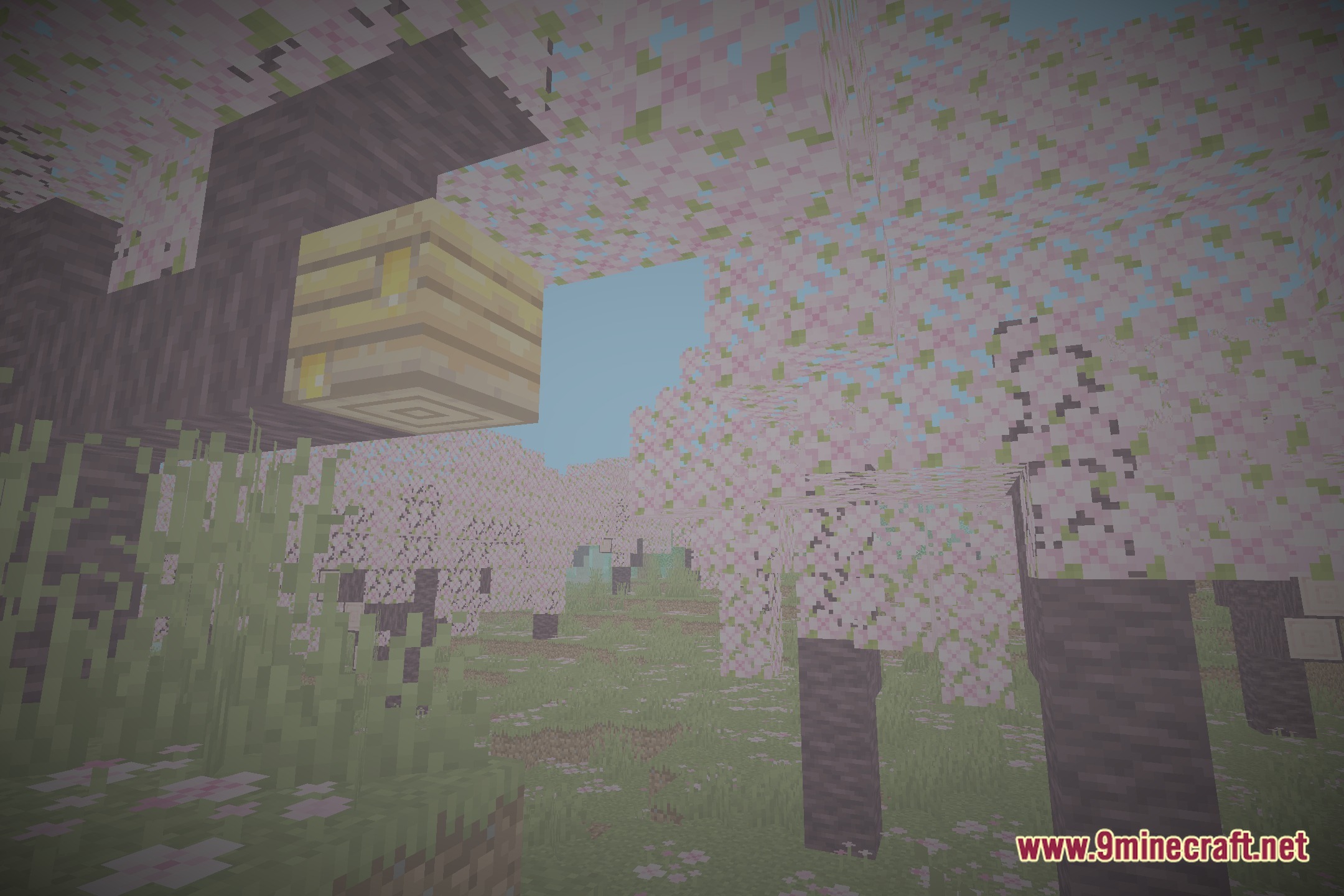 EnS HAder Shaders Screenshot 1