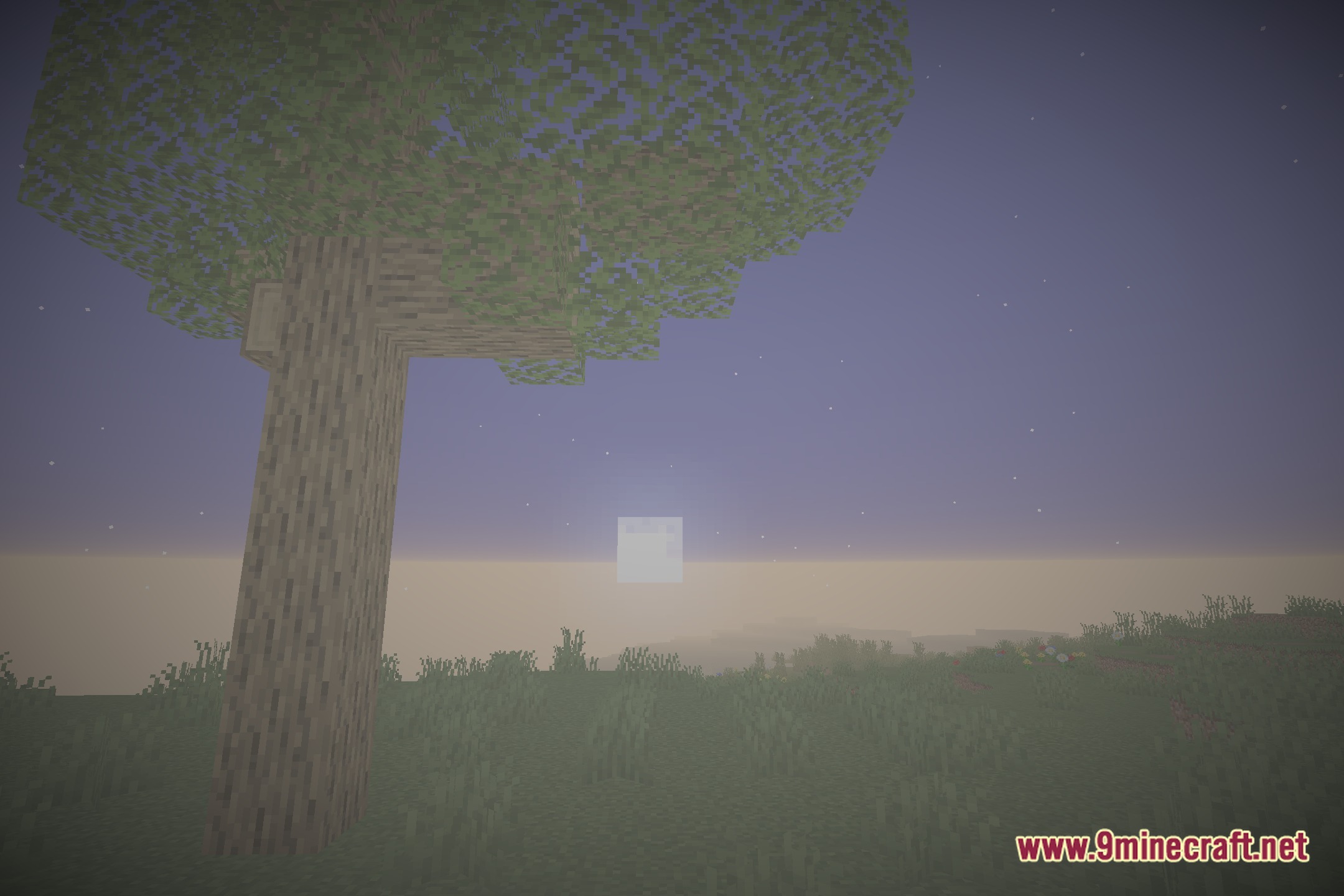 EnS HAder Shaders Screenshot 3