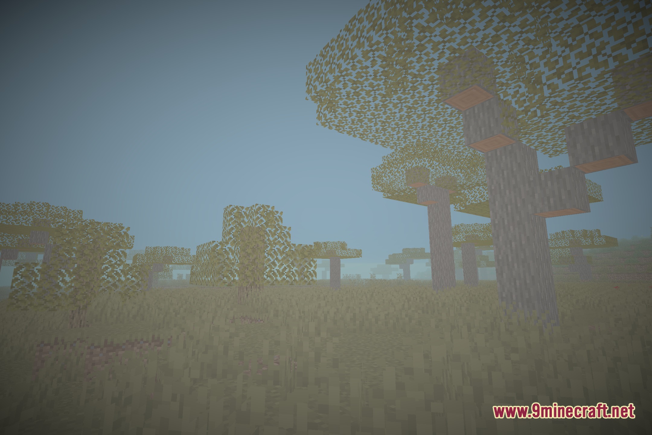 EnS HAder Shaders Screenshot 8