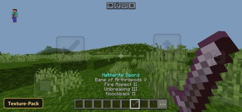 Grassy hills, tall grass, netherite sword, enchantment list visible