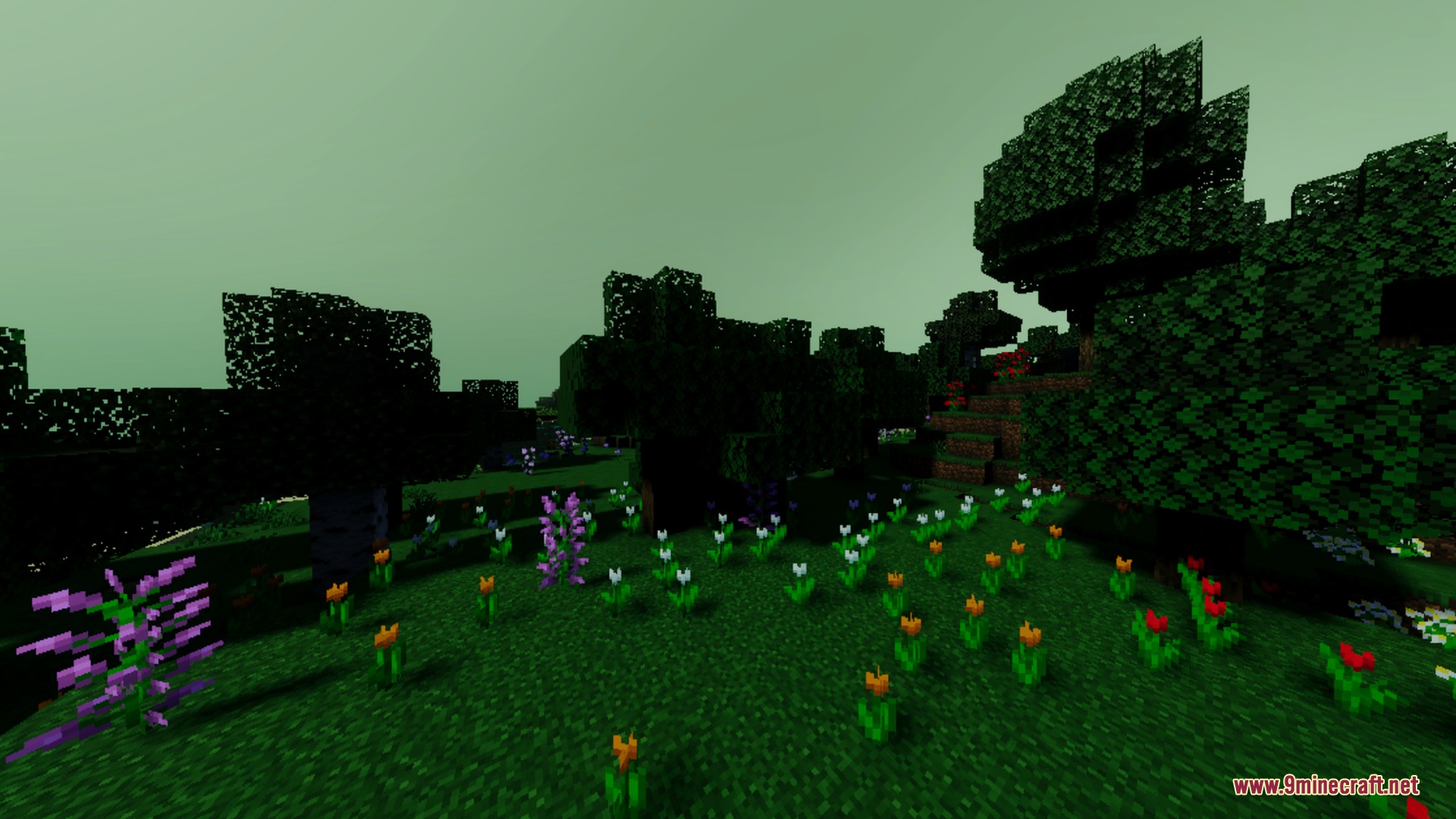 End Visual Dimension Shader Screenshot 10 Colorful flowers blooming in a grassy field under an eerie foggy sky