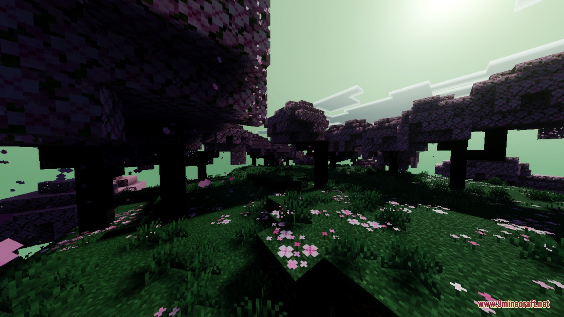 End Visual Dimension Shader Screenshot 7 Cherry blossom forest featuring a glowing green sky and falling pink petals