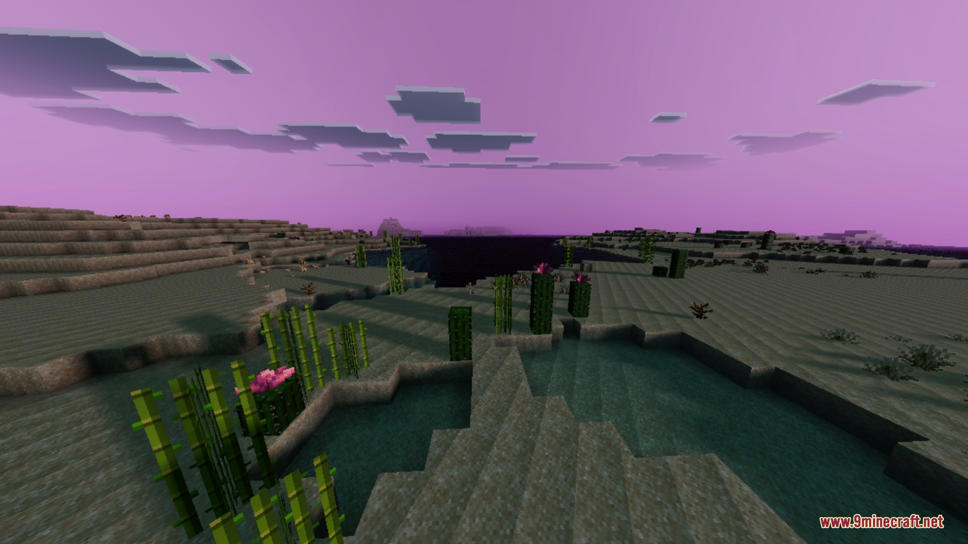 End Visual Dimension Shader Screenshot 8 Desert biome with sugarcane and cacti under a vibrant purple sky