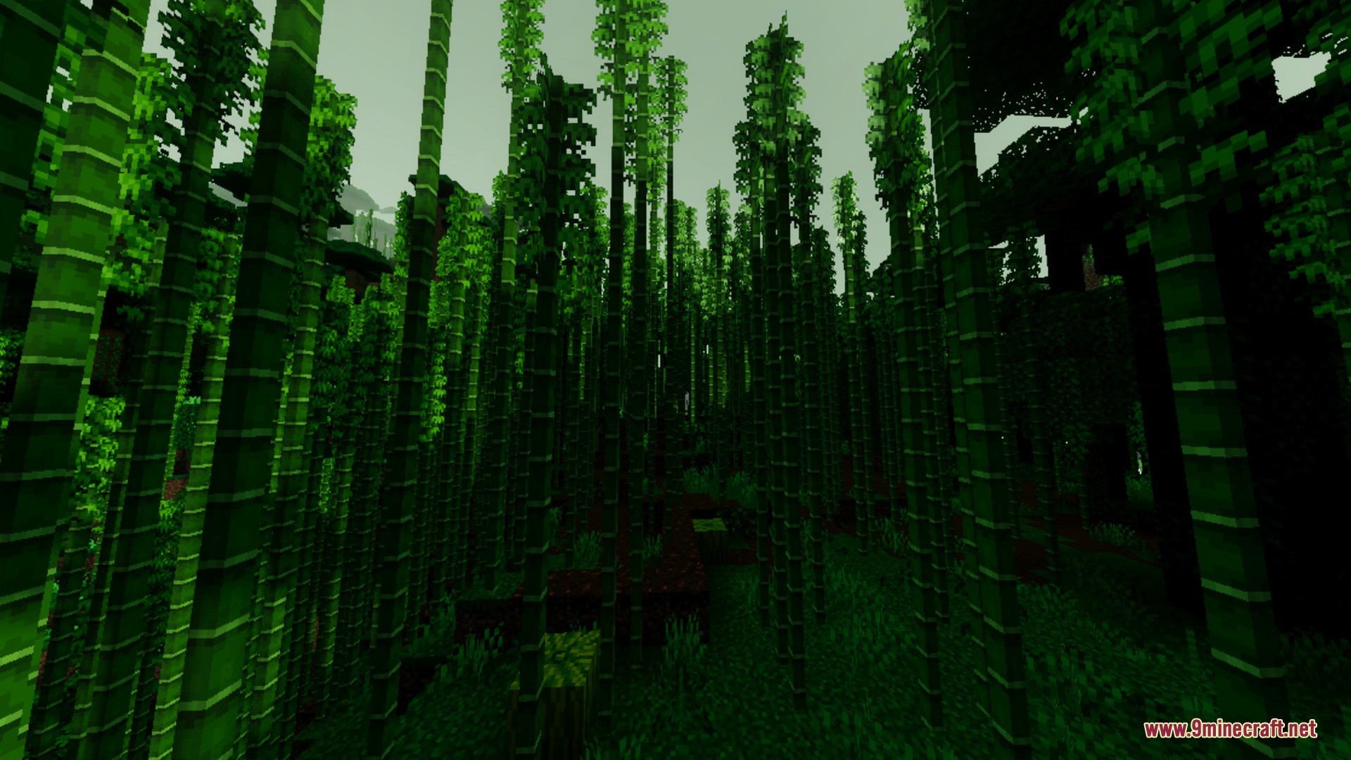 End Visual Dimension Shader Screenshot 9 Dense bamboo stalks growing tall under a mysterious dark green foggy sky