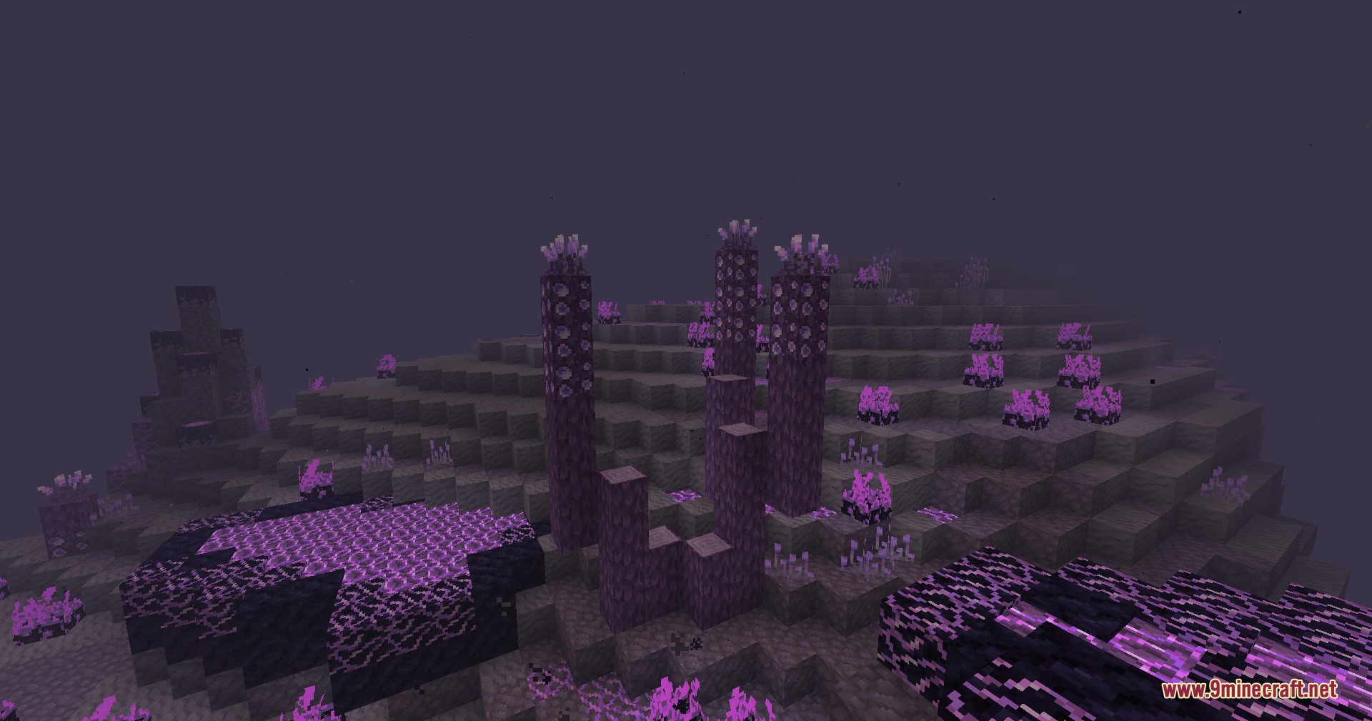 Ender Horizon Expand Mod Screenshot 1 The Vioacid Wastes biome features dark purpur pillars and toxic purple pools
