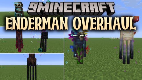 Enderman Overhaul 9minecraft Mod (26.2) - Unique Endermen in Every Biome