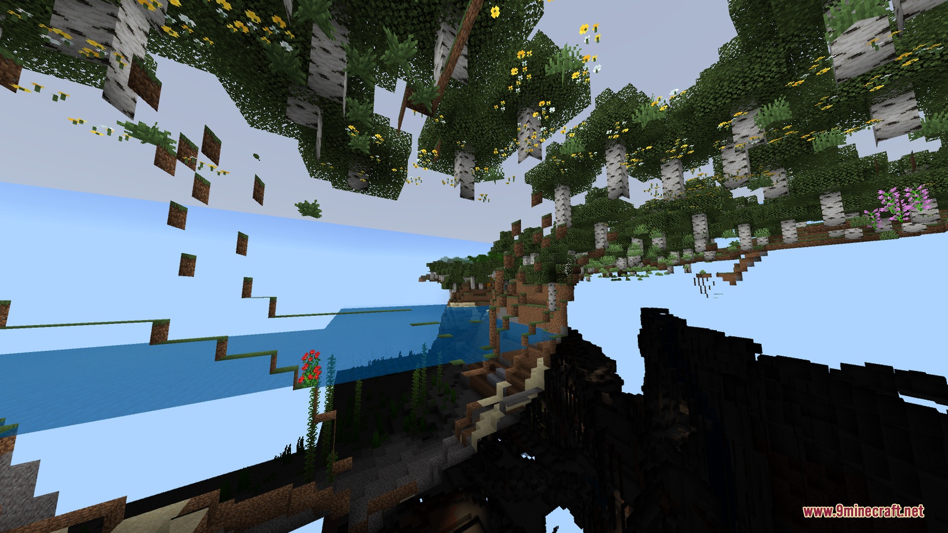 A transparent world view showing floating birch trees and deep underground caves