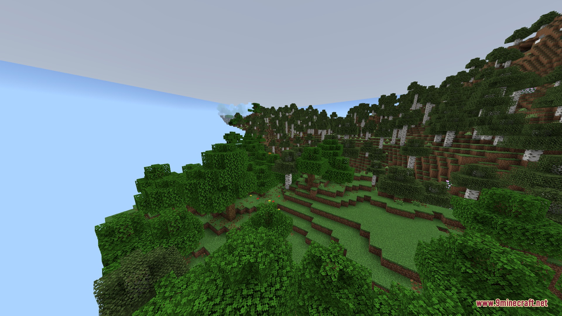 Lush forest landscape with realistic shadows and soft lighting on the trees