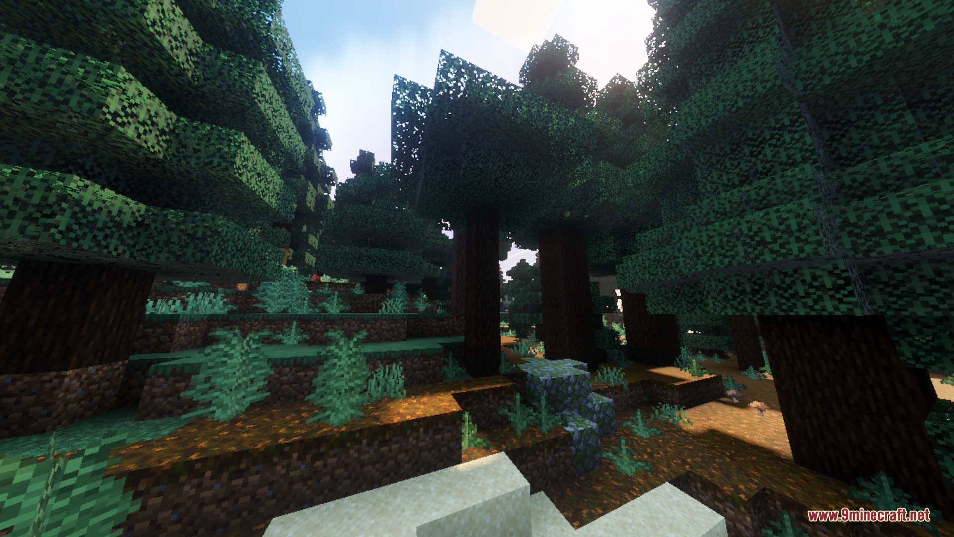 Ethereal Mystic Reworked Shader Screenshot 8 Warm sunlight filters through tall spruce trees in a dense forest with podzol