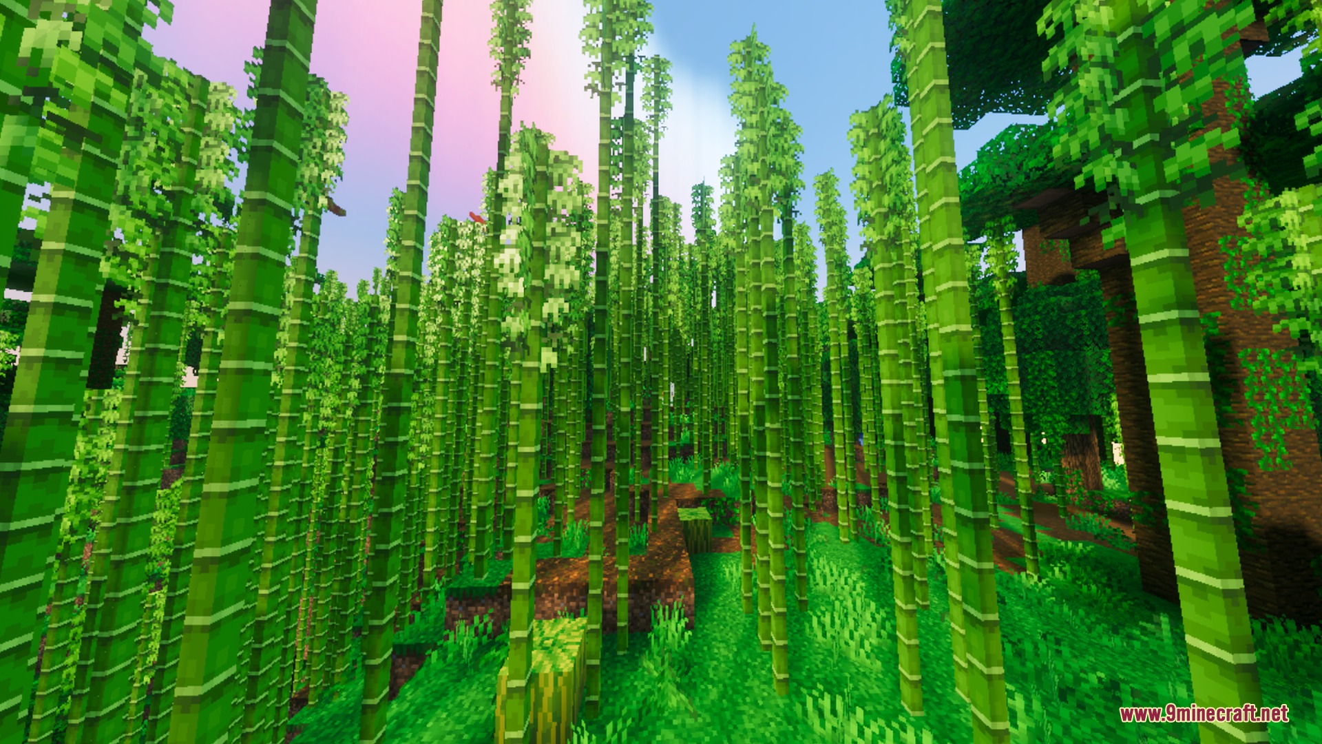 Ethereal Mystic Reworked Shader Screenshot 9 Dense bamboo forest with vibrant green stalks and soft atmospheric fog effects
