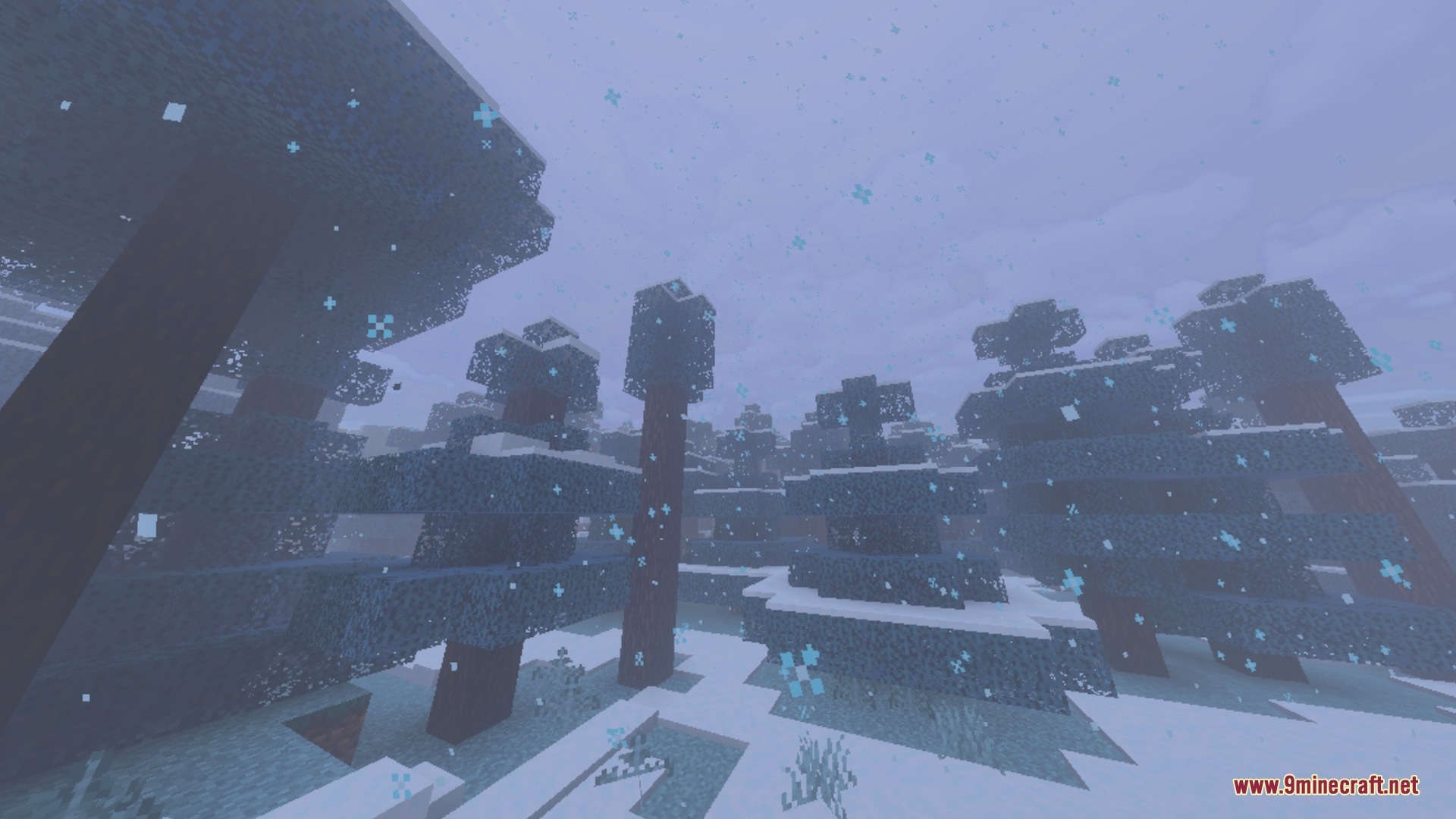 Snowy spruce forest featuring blue falling particles and a cold foggy atmosphere