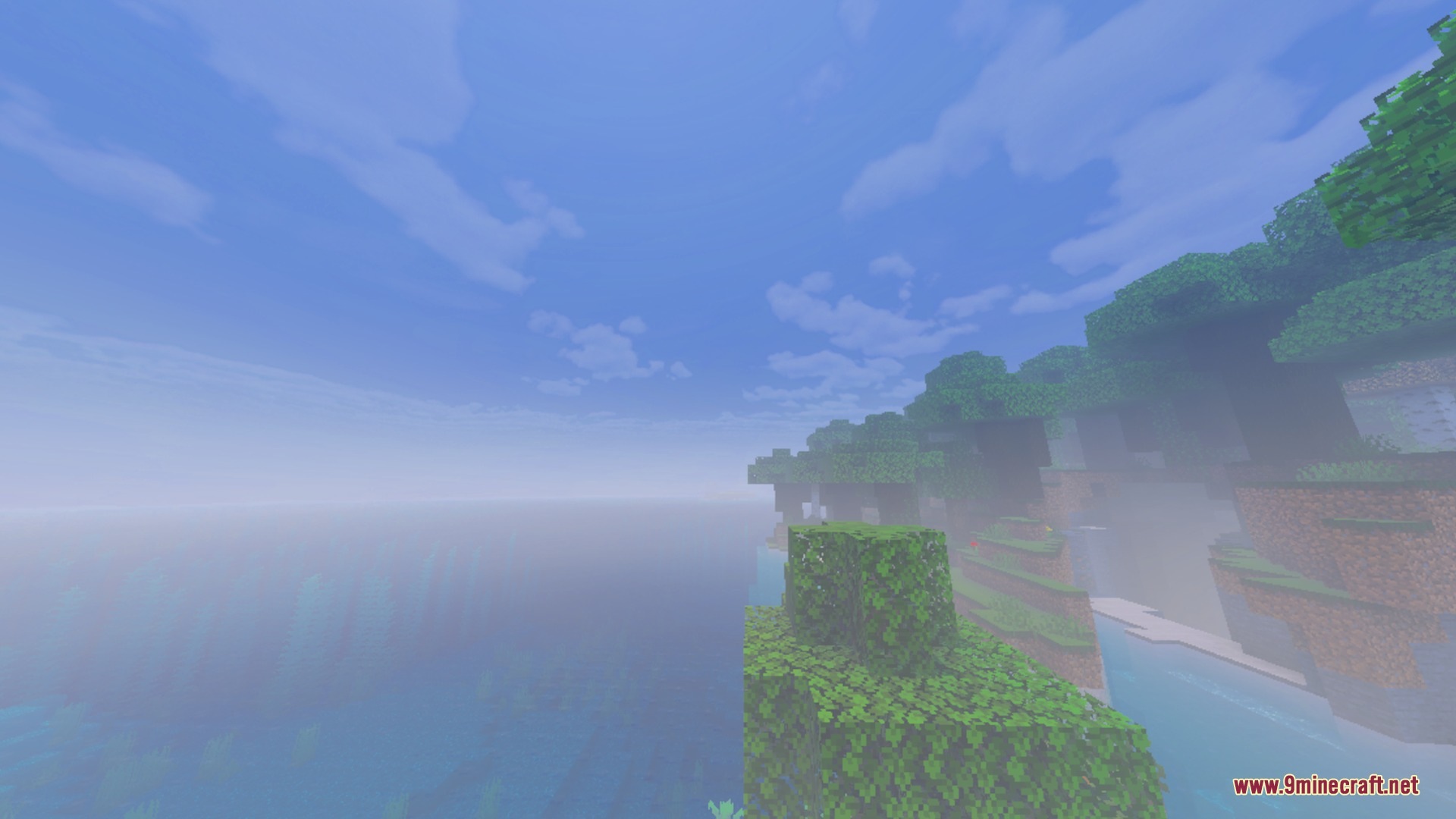 Lush green forest coastline with thick white fog over the water and land
