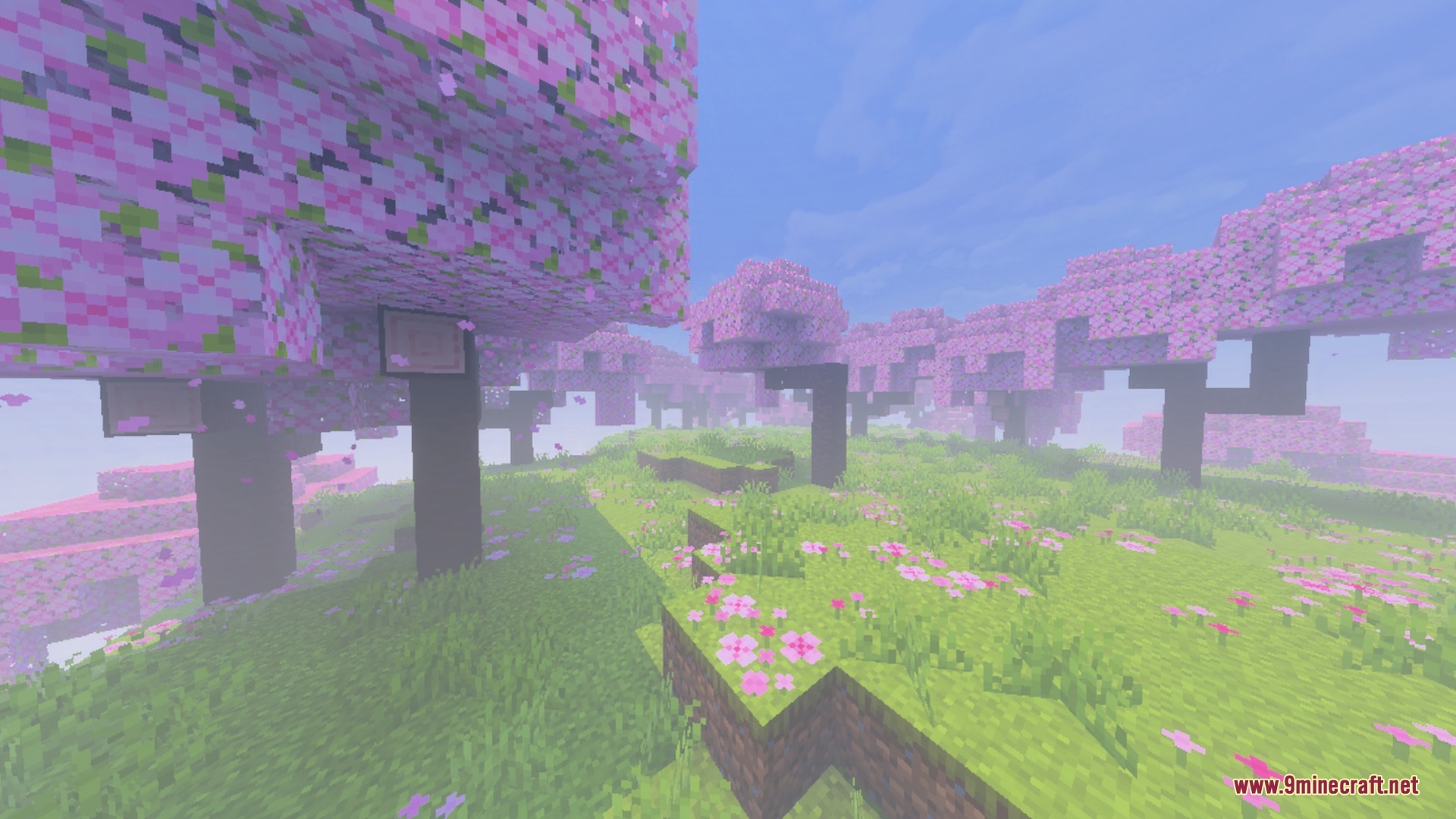 Pink cherry blossom trees stand in a dense and colorful atmospheric fog