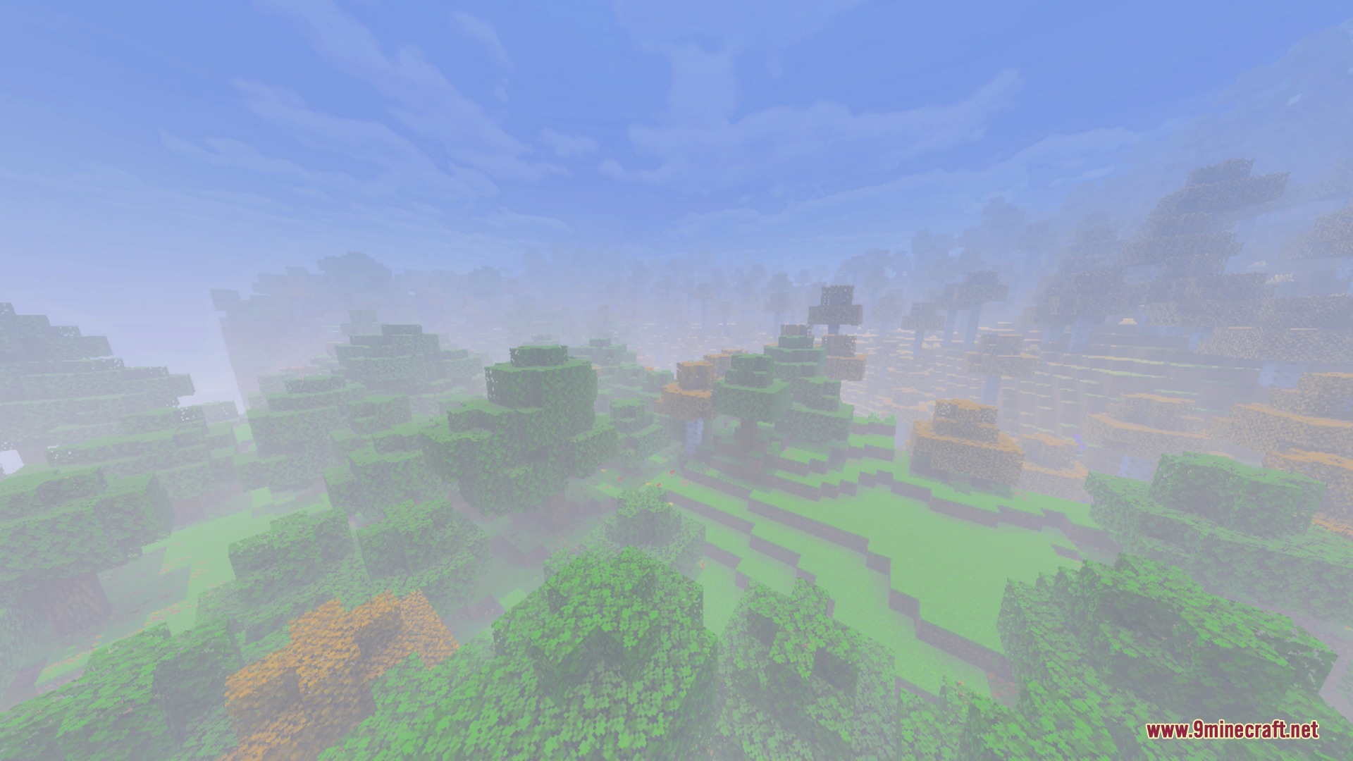 A lush forest with green and orange trees covered in thick hazy fog