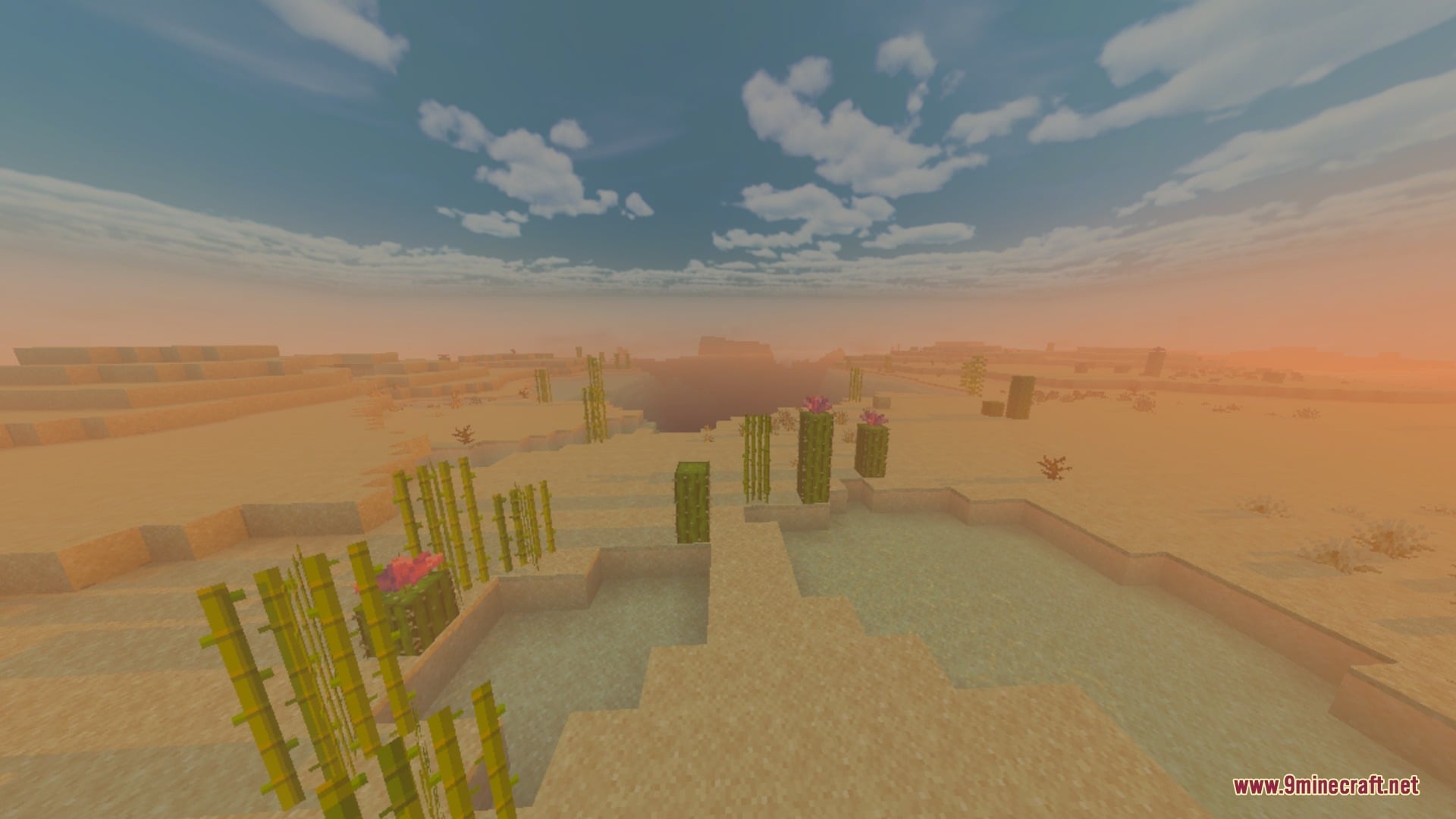 Cinematic desert view with warm atmospheric fog and sugar cane near water