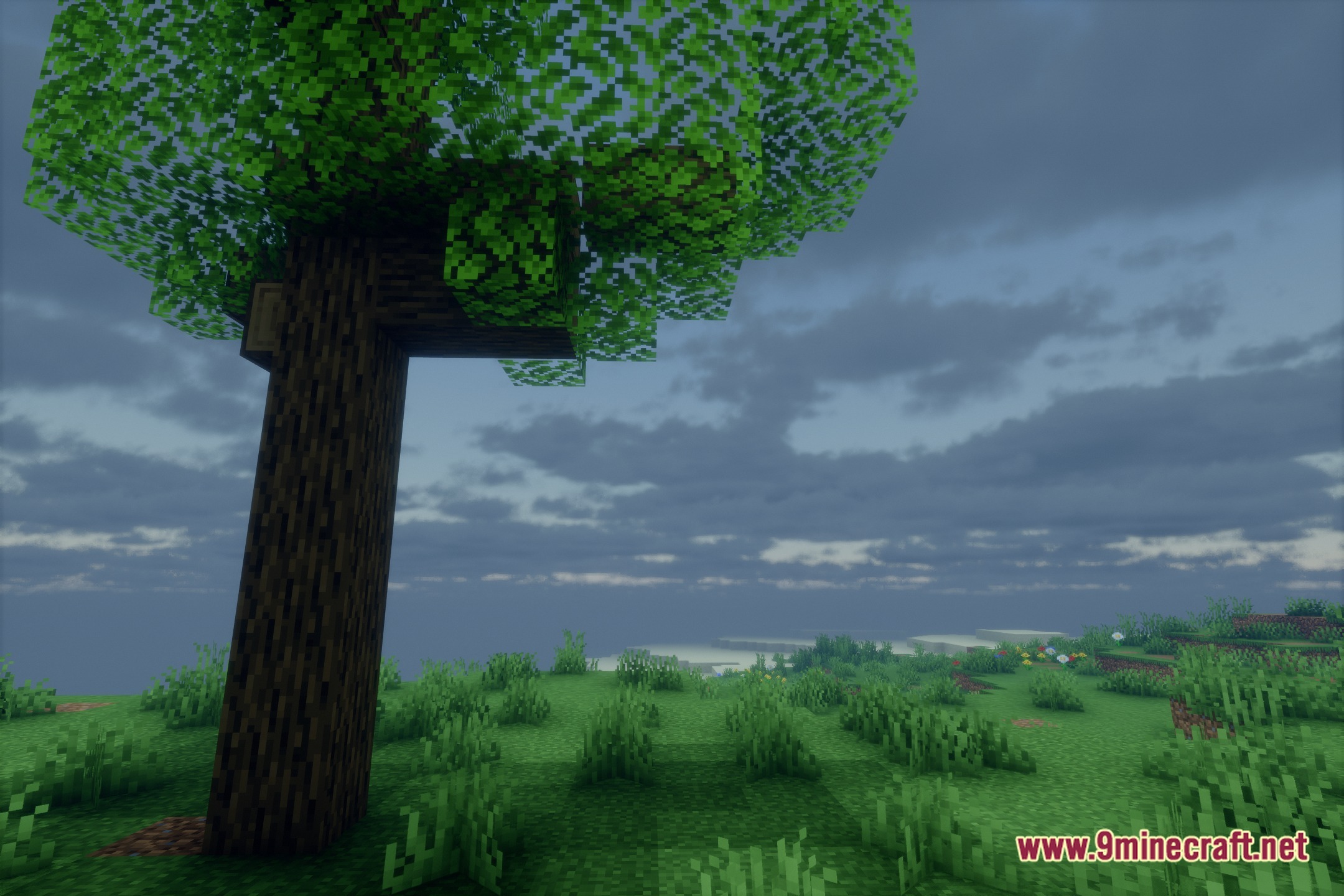 Eveliteshaders Screenshot 4