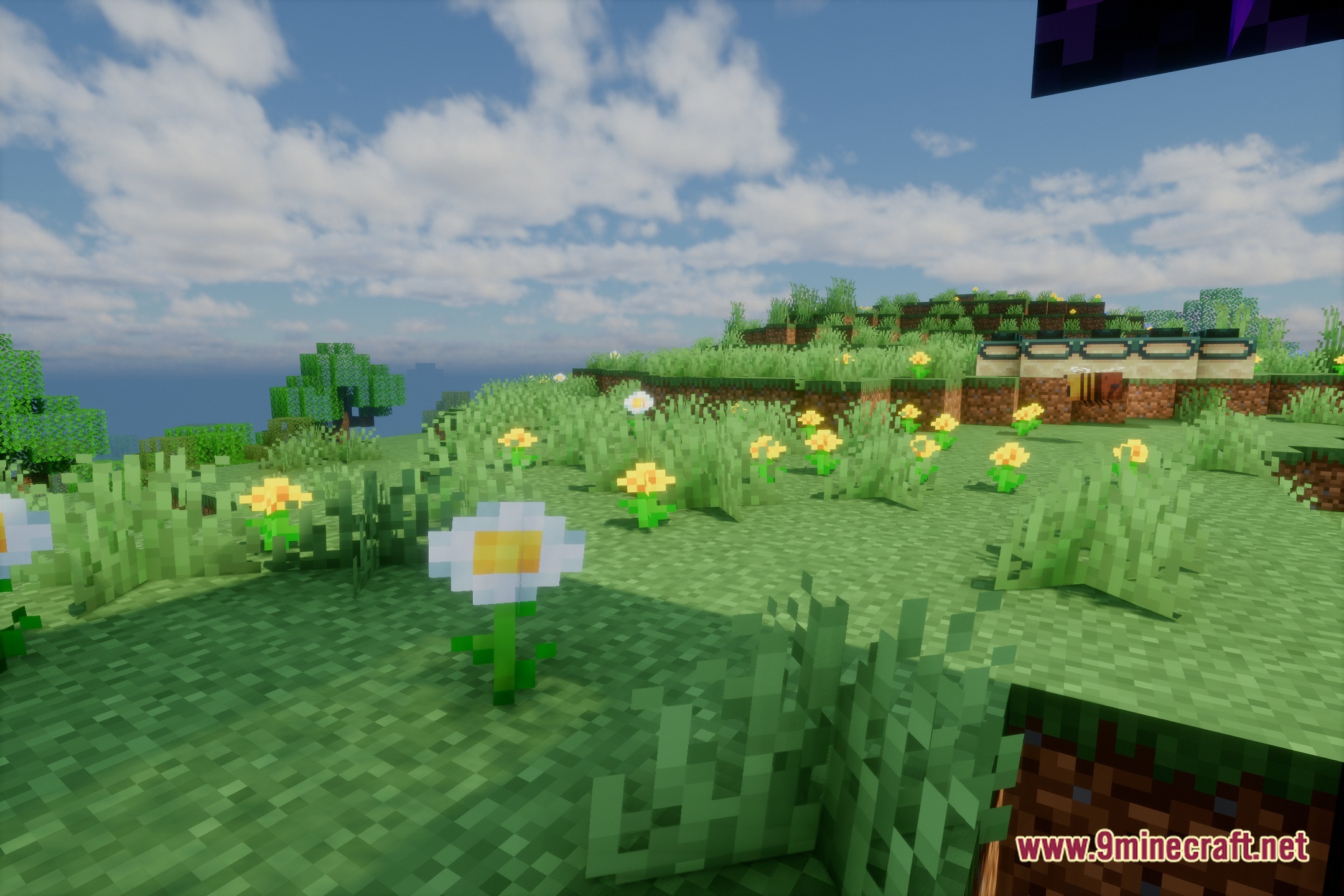 Eveliteshaders Screenshot 5