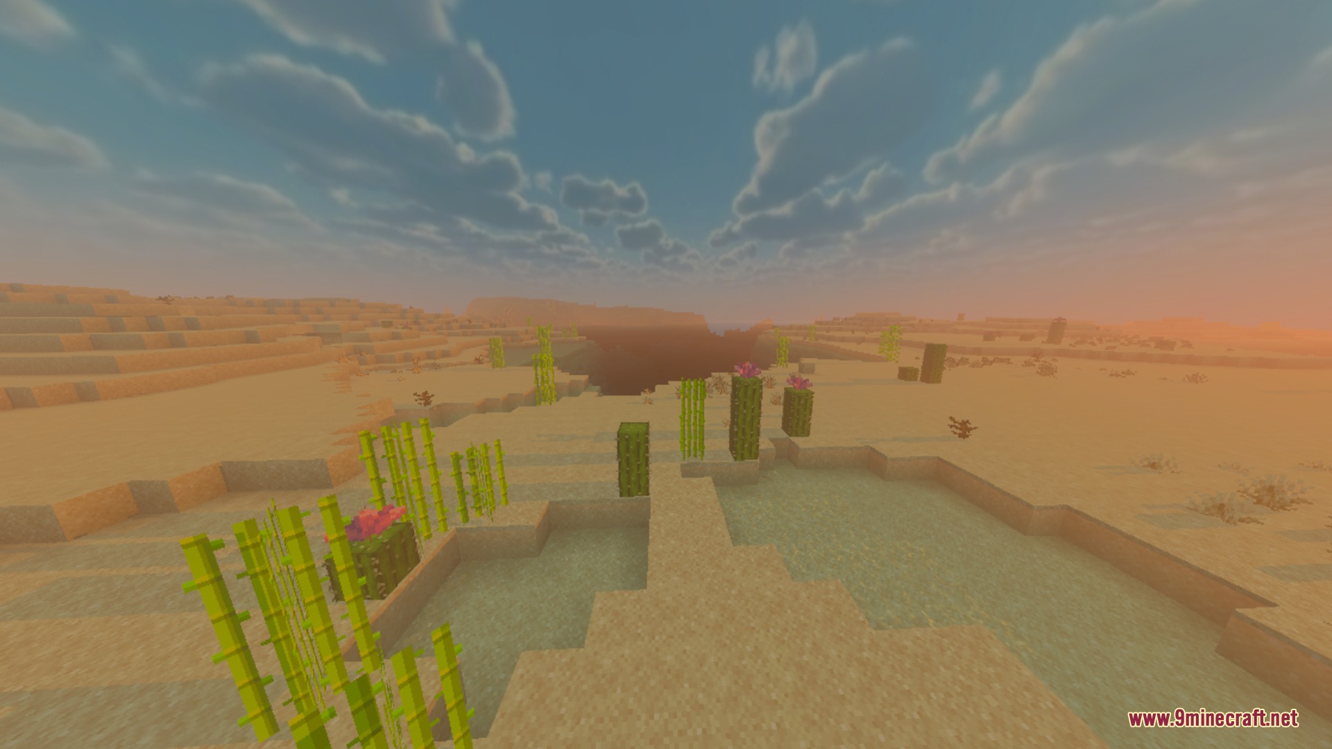 Evermist Shader Screenshot 8 Desert biome with cacti and sugarcane near water under a soft sunset