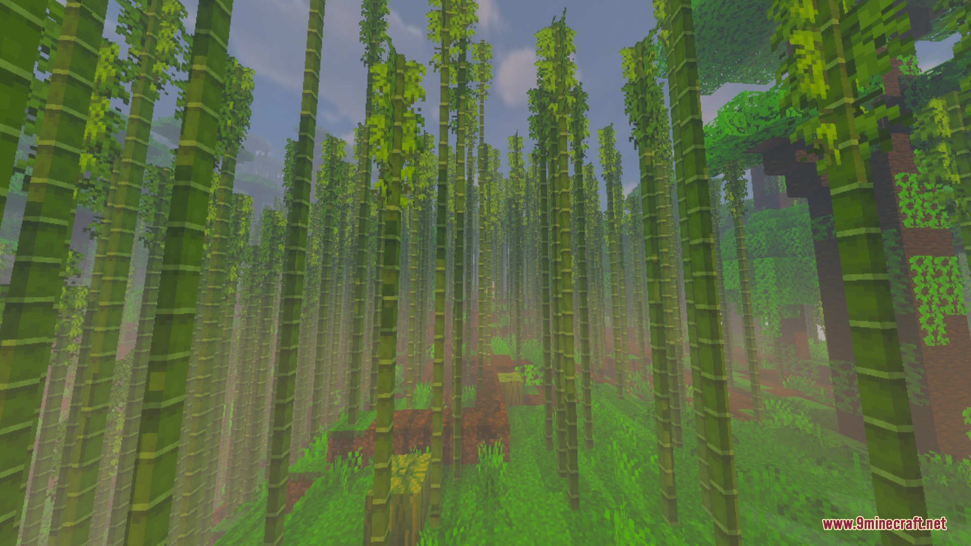 Evermist Shader Screenshot 9 Exploring a dense bamboo jungle biome with enhanced lighting and soft fog