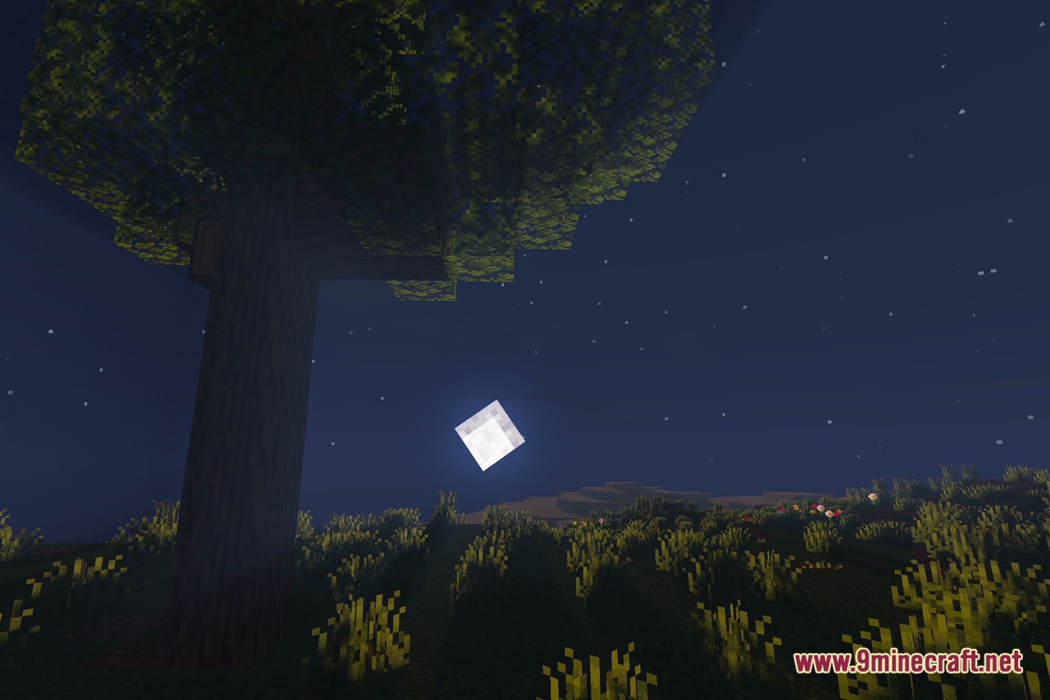 Everune Shaders Screenshot 4