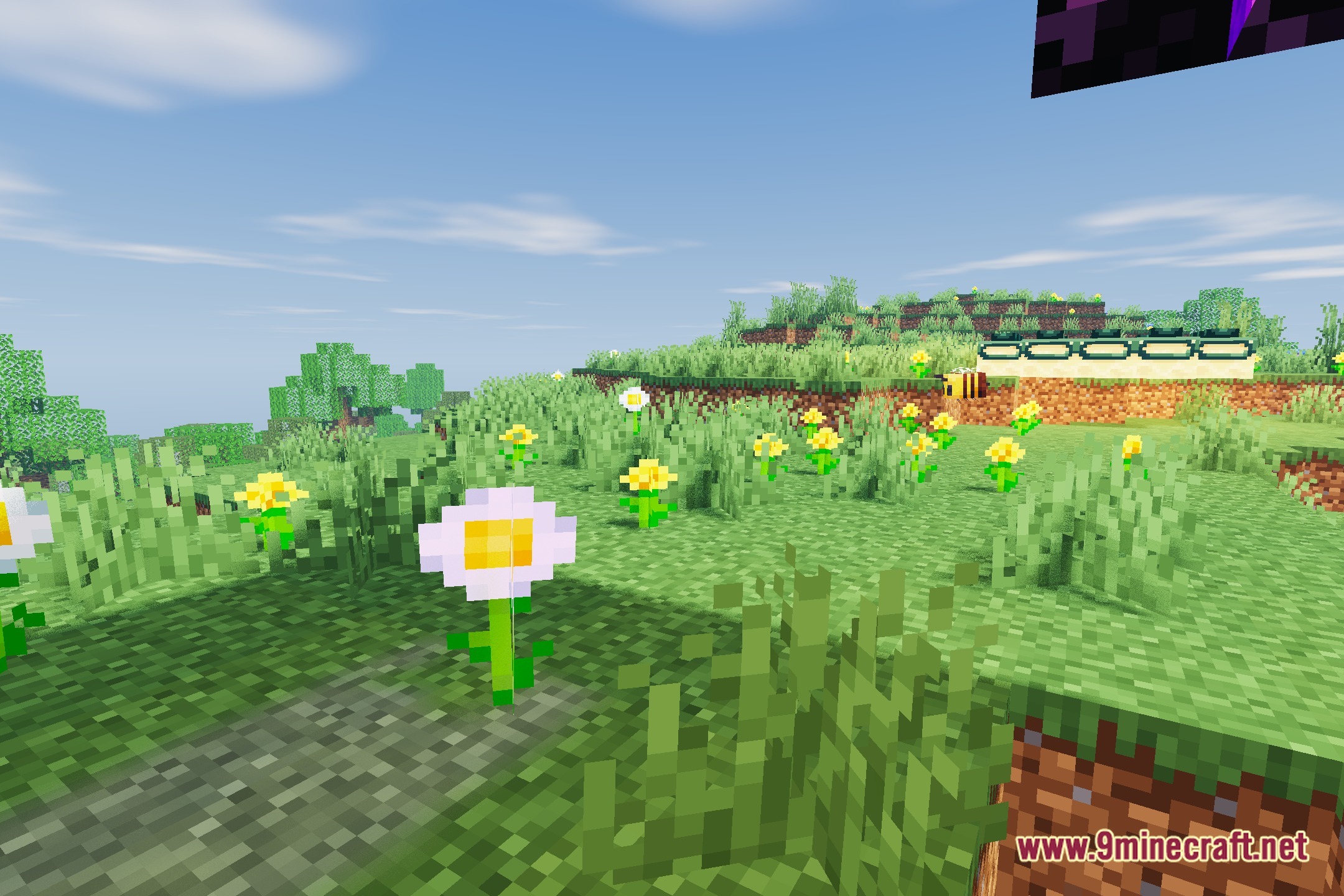 Everune Shaders Screenshot 5