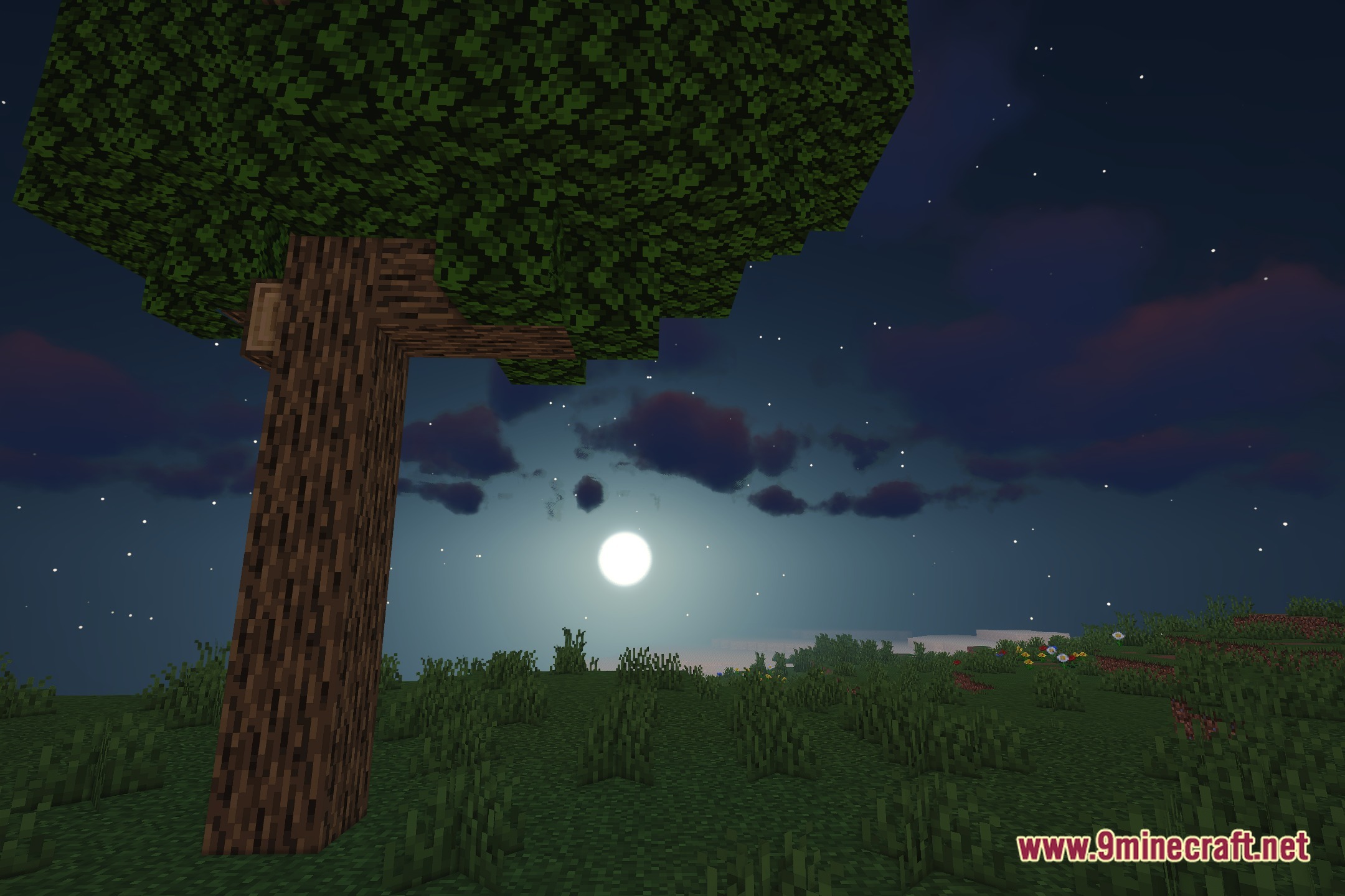Extroxter Rpg Vault Shaders Screenshot 4