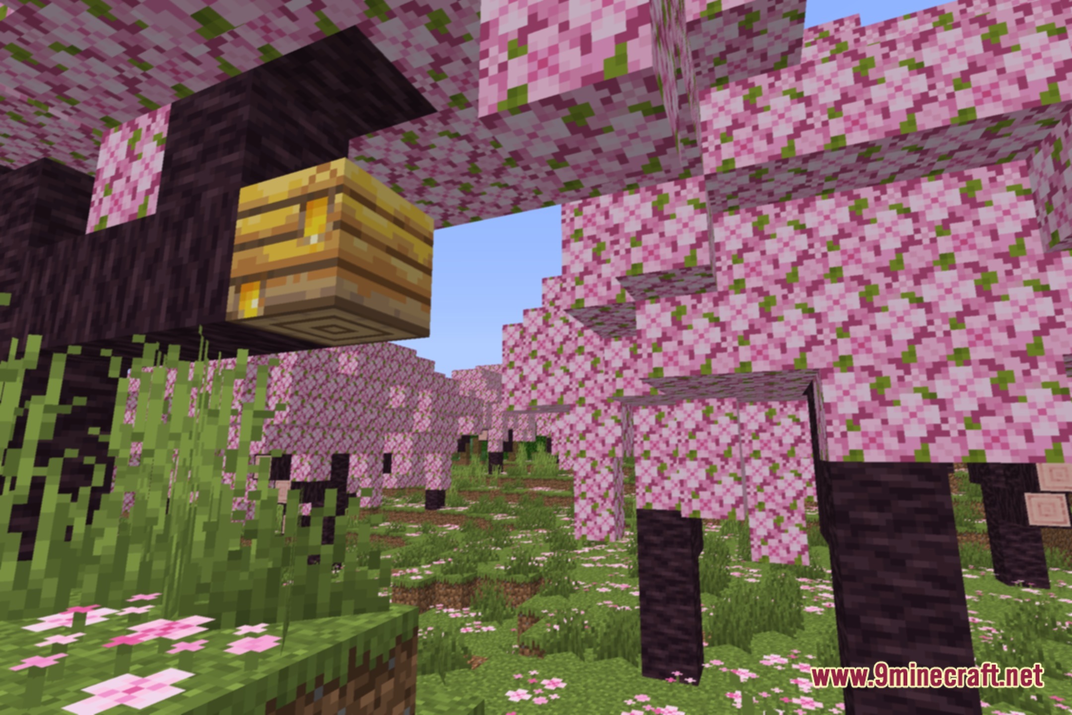 FSR Shaders Screenshot 1