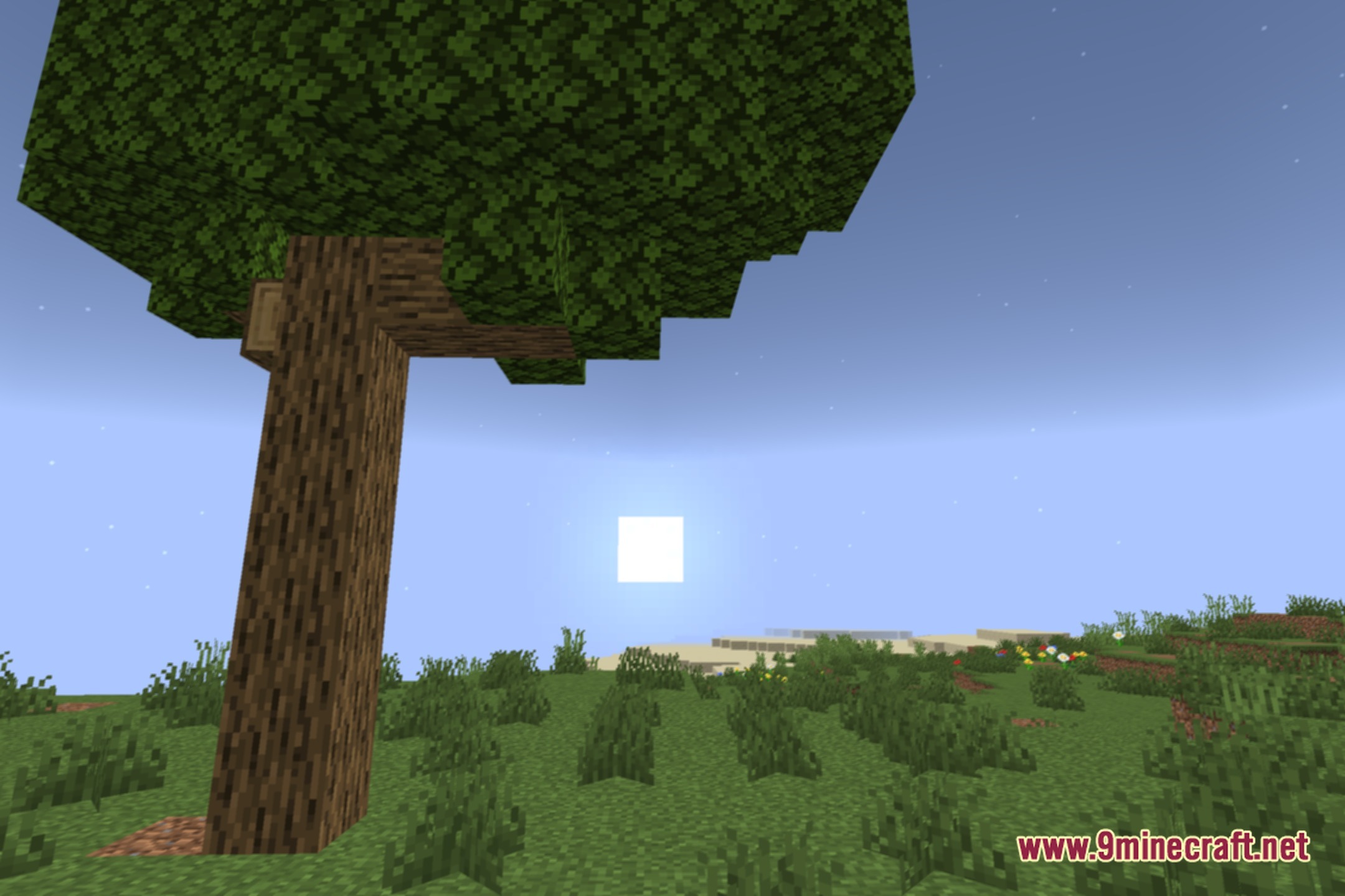 FSR Shaders Screenshot 4