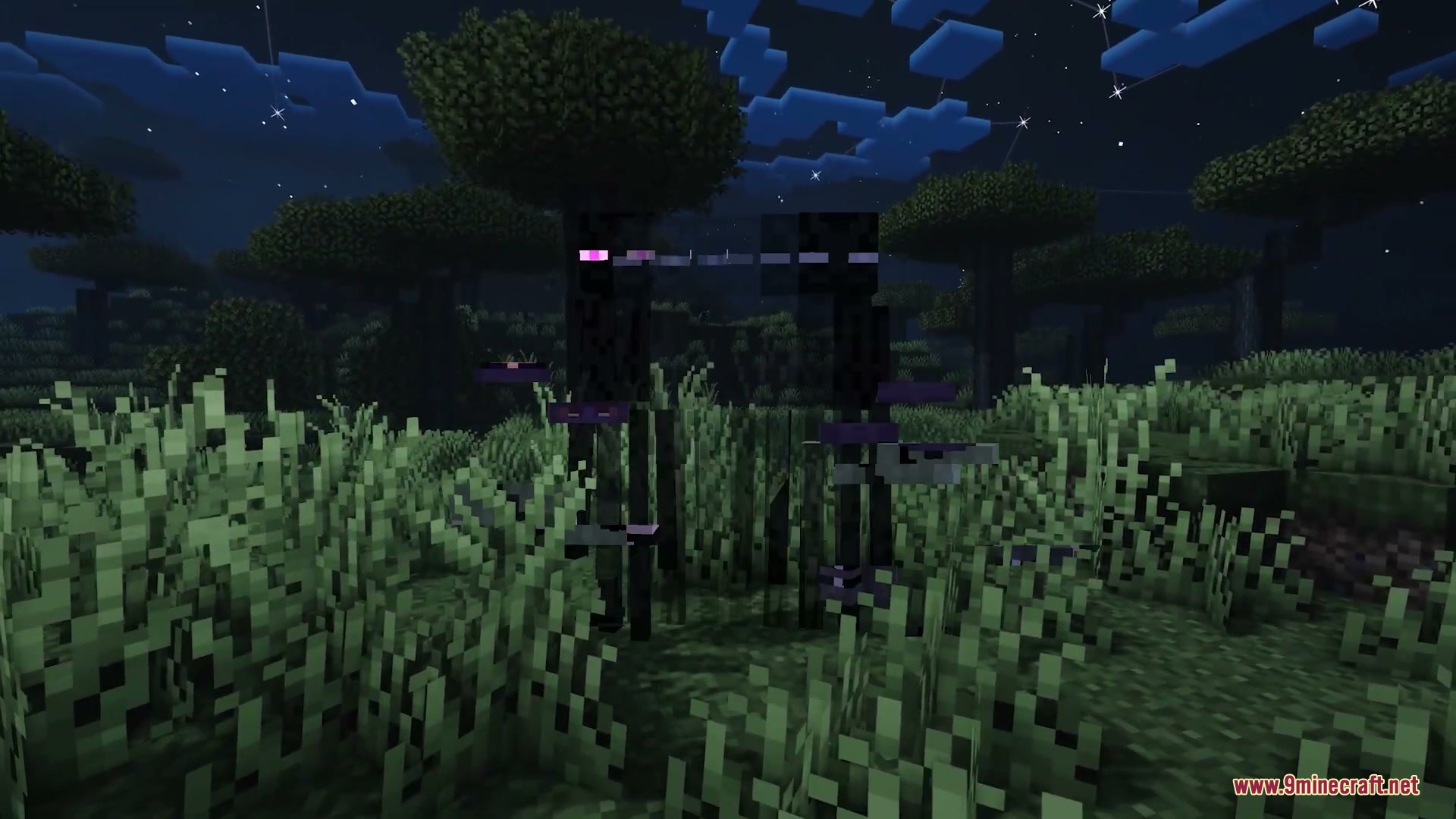 Faceless Persona Mod Screenshot 4 A player disguised as an Enderman standing next to another Enderman at night