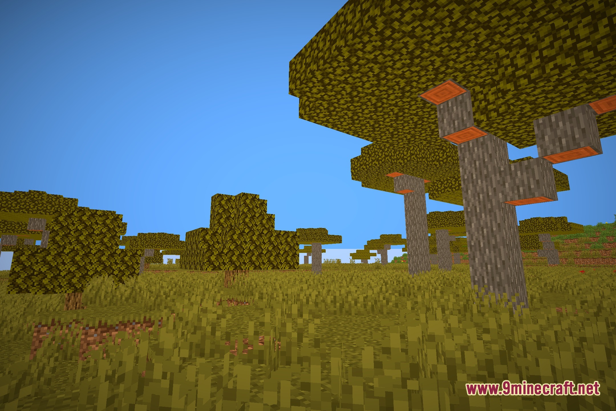 FeatherLight LOW END Shaders Screenshot 12