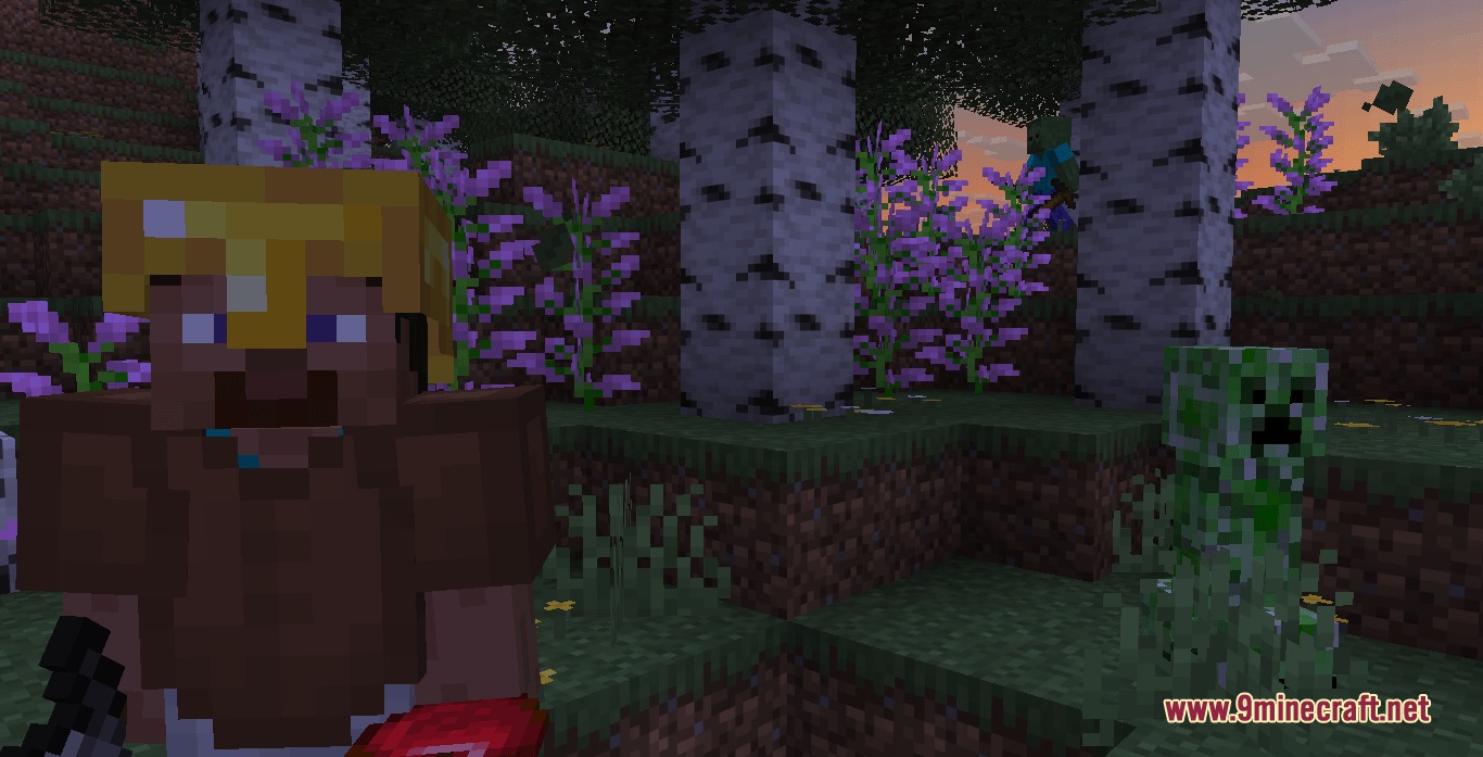 Fellowship of Crafters Mod Screenshot 7 Steve companion wearing a gold helmet stands near a Creeper at sunset