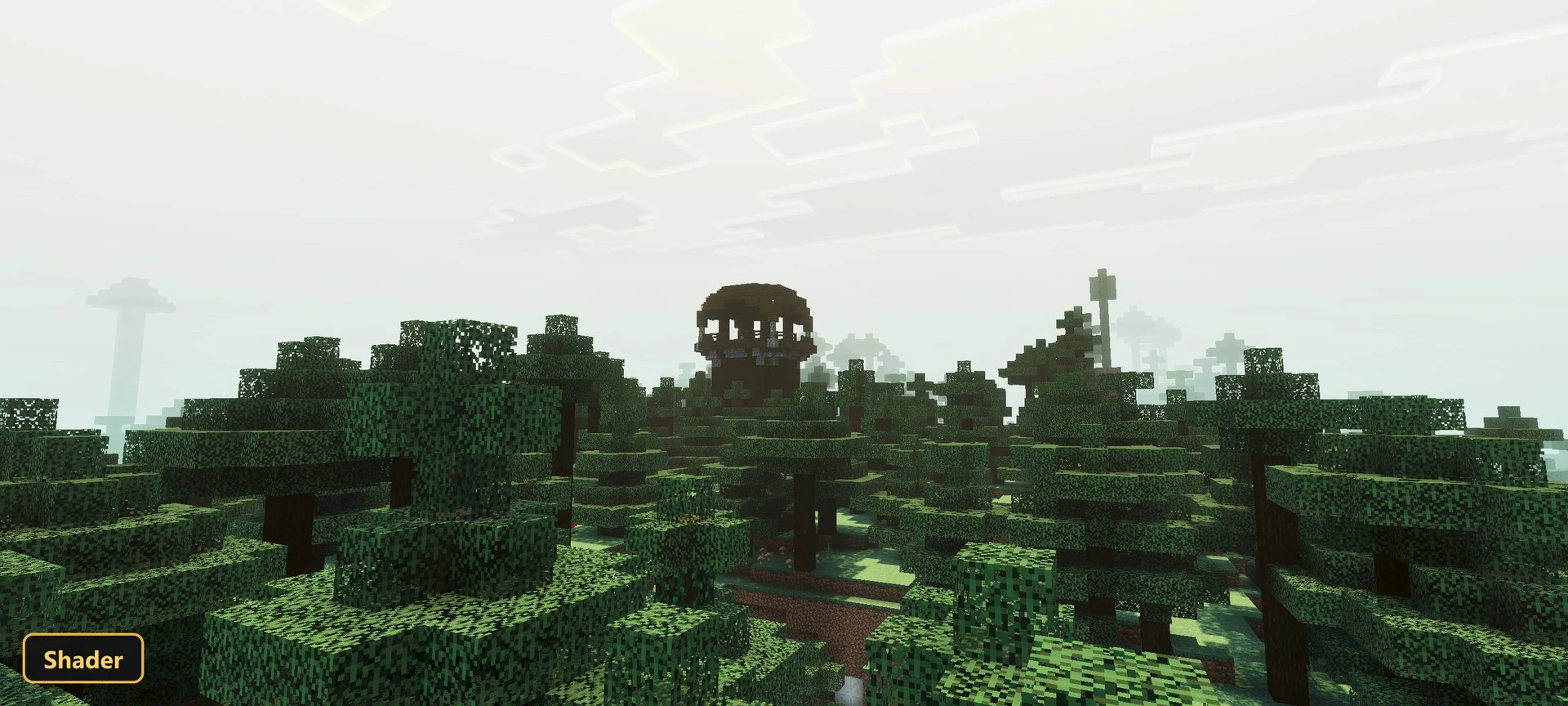foggy forest with a large, dark, skull-like structure