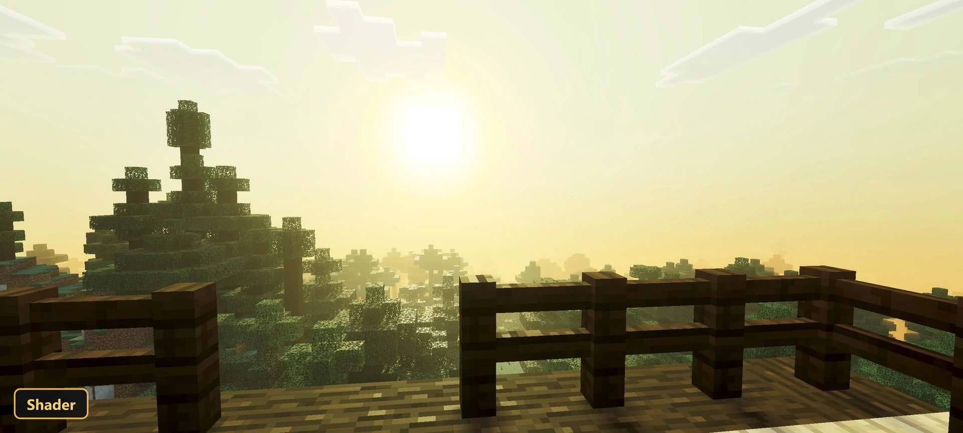 bright morning sun over a misty forest from a wooden deck