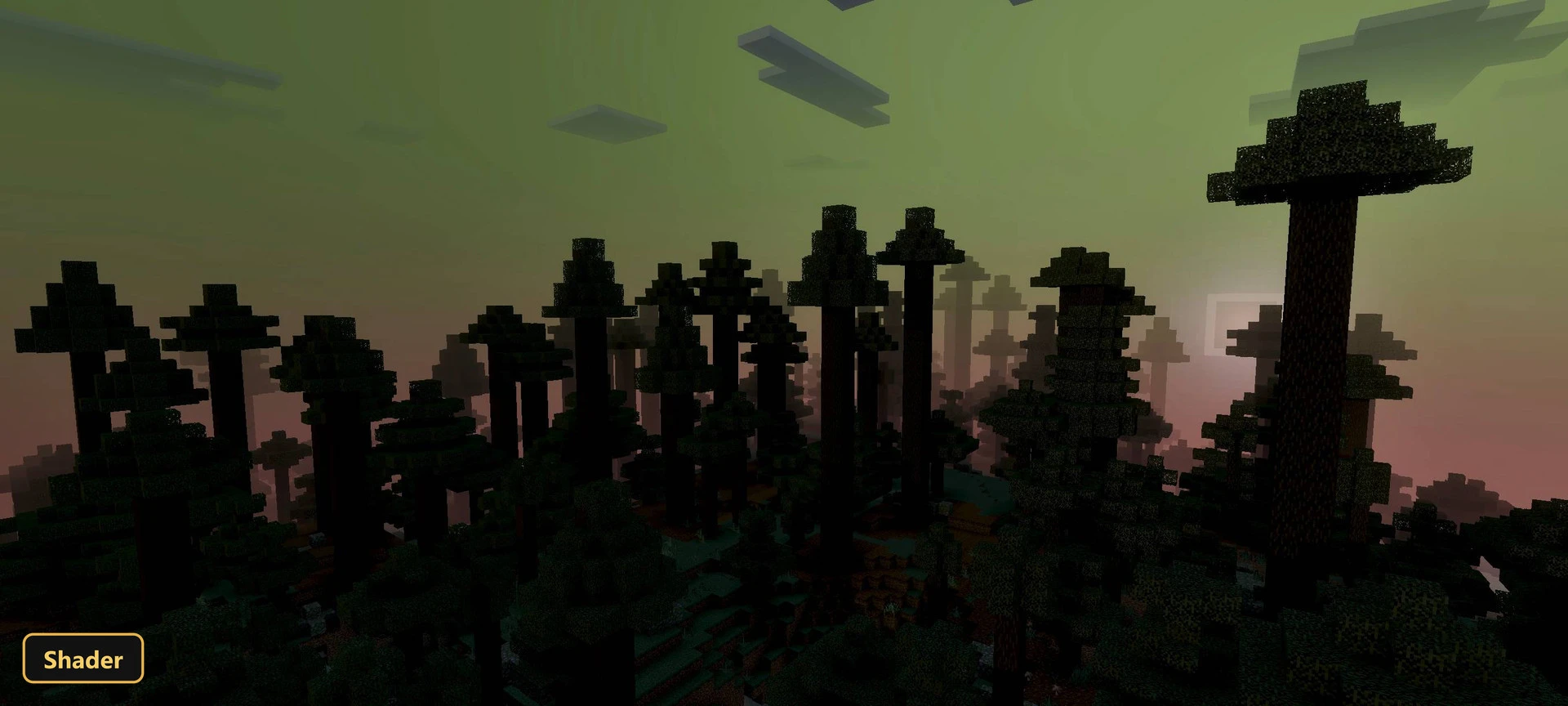 dark, misty forest at dusk with tall, thin trees
