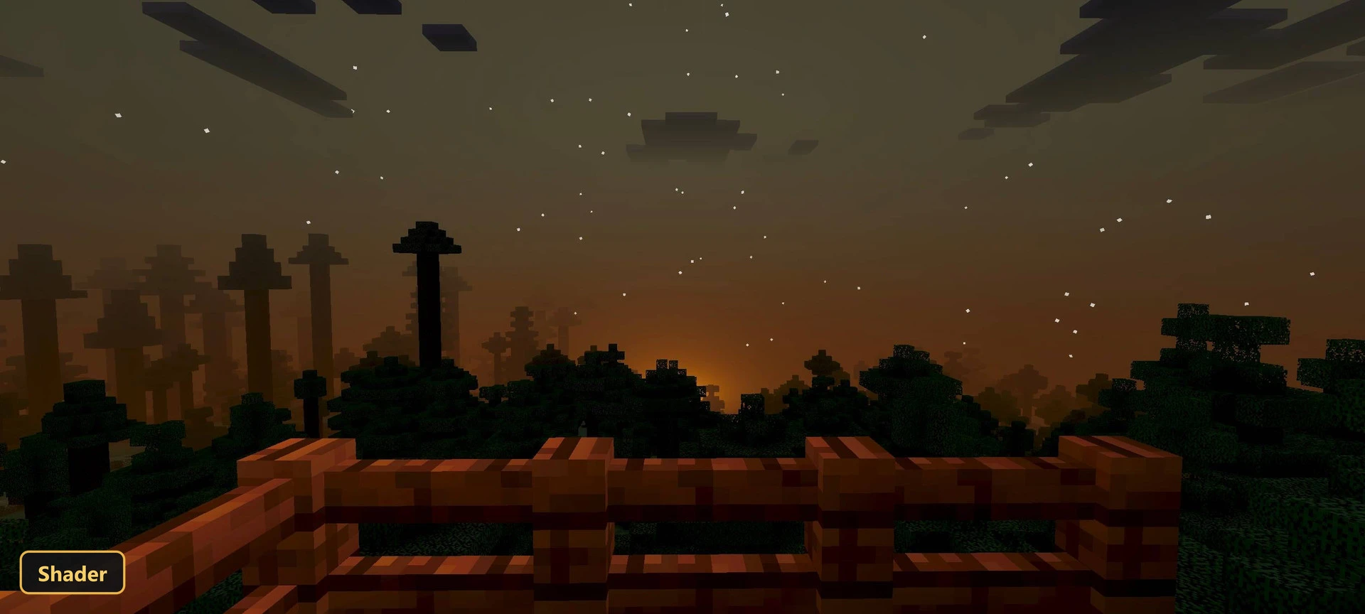 dark forest at dusk with a starry sky from a wooden deck