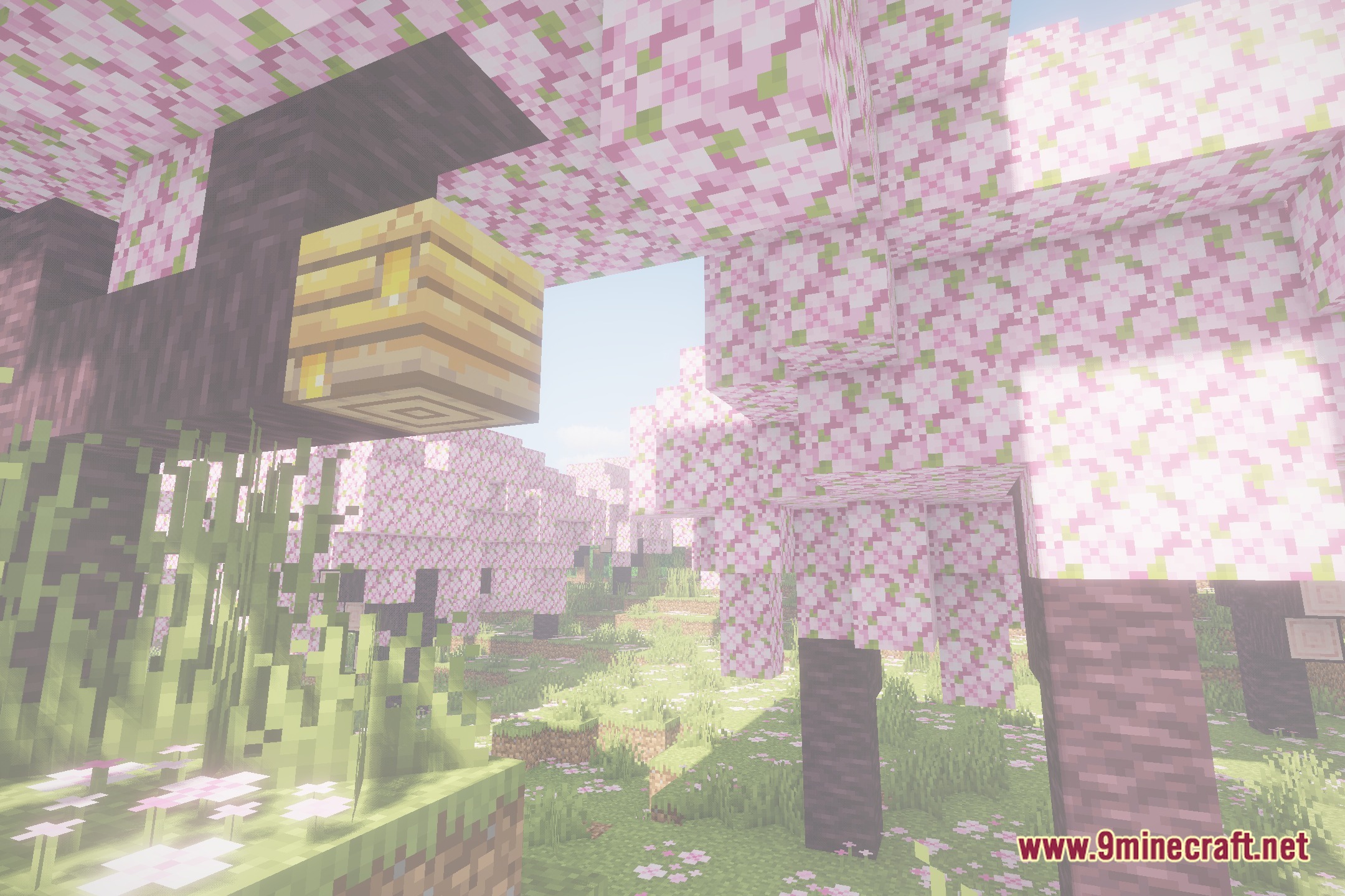 Focal Shaders Screenshot 1